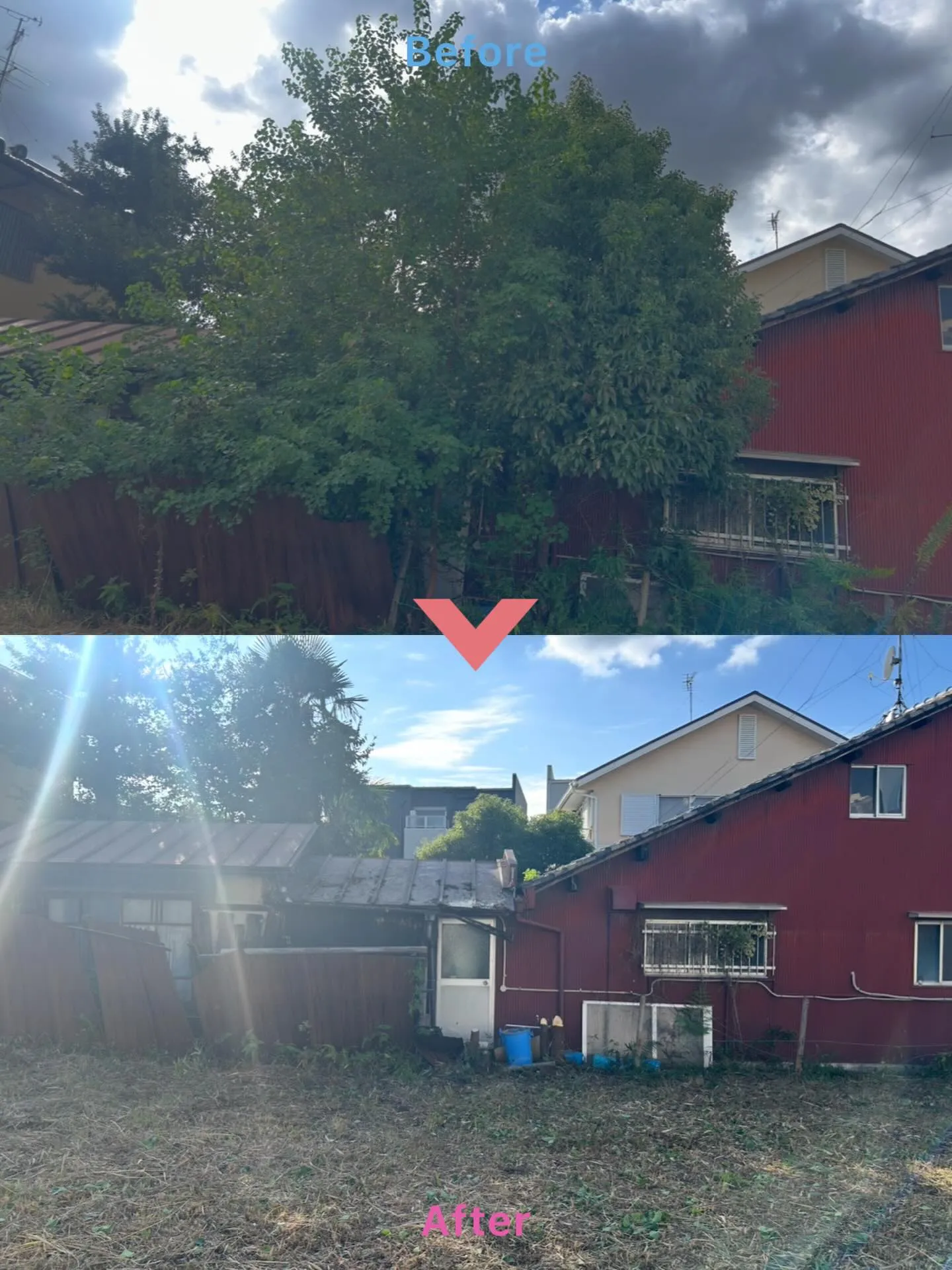 先日、あるお客様から「敷地内に木が自生してしまい、大きくなり...