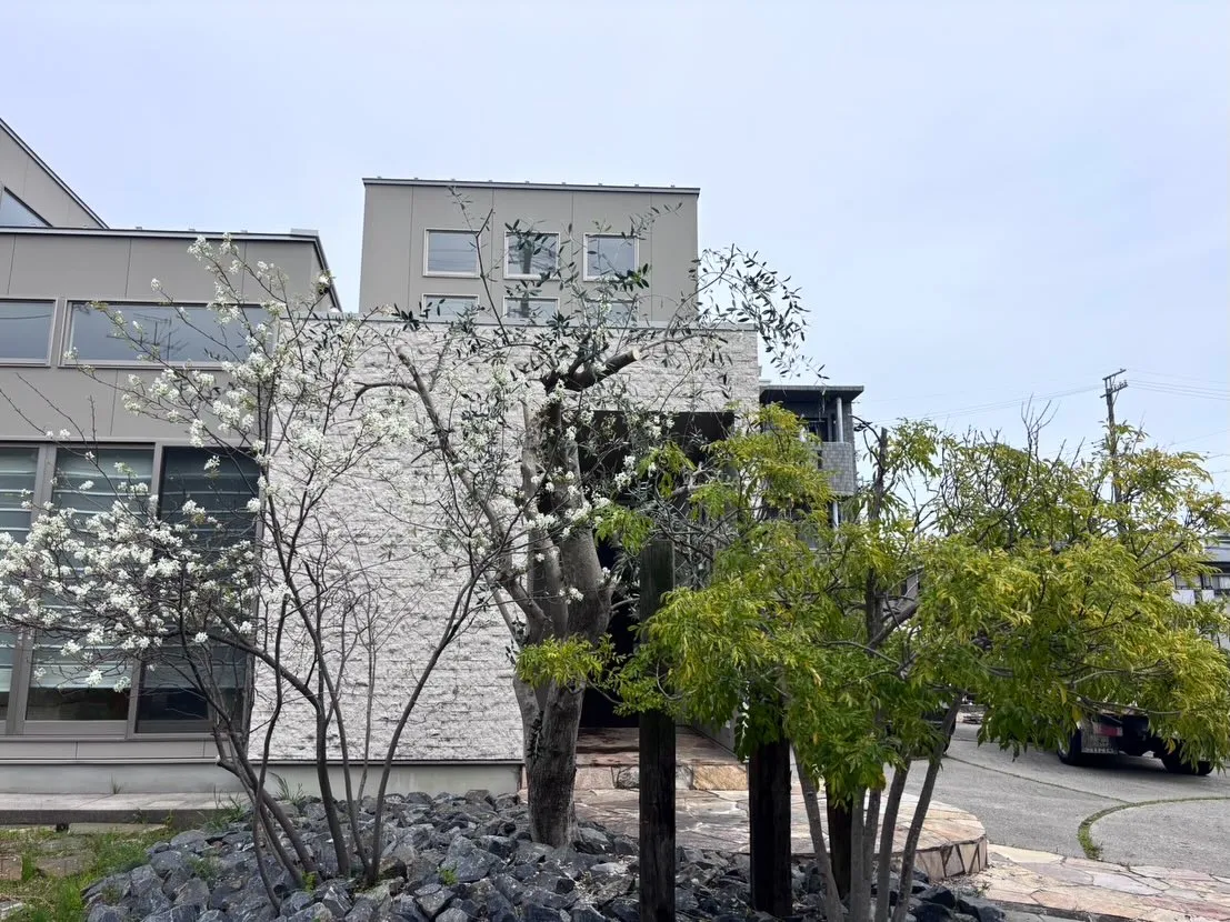 先日、個人のお宅より庭木の剪定のご依頼をいただき、お手伝いさ...