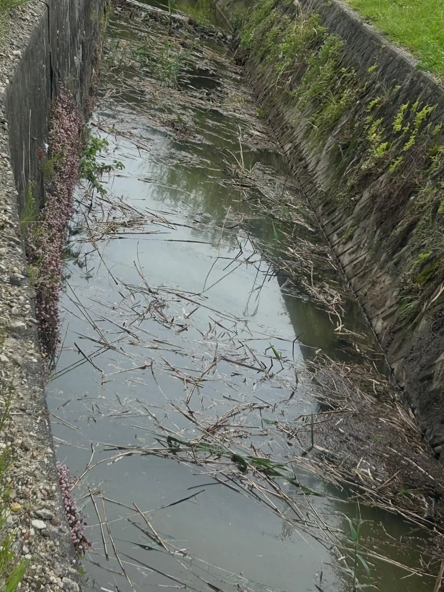 私たちは今回、浚渫工事を通じて川を美しく整えました。