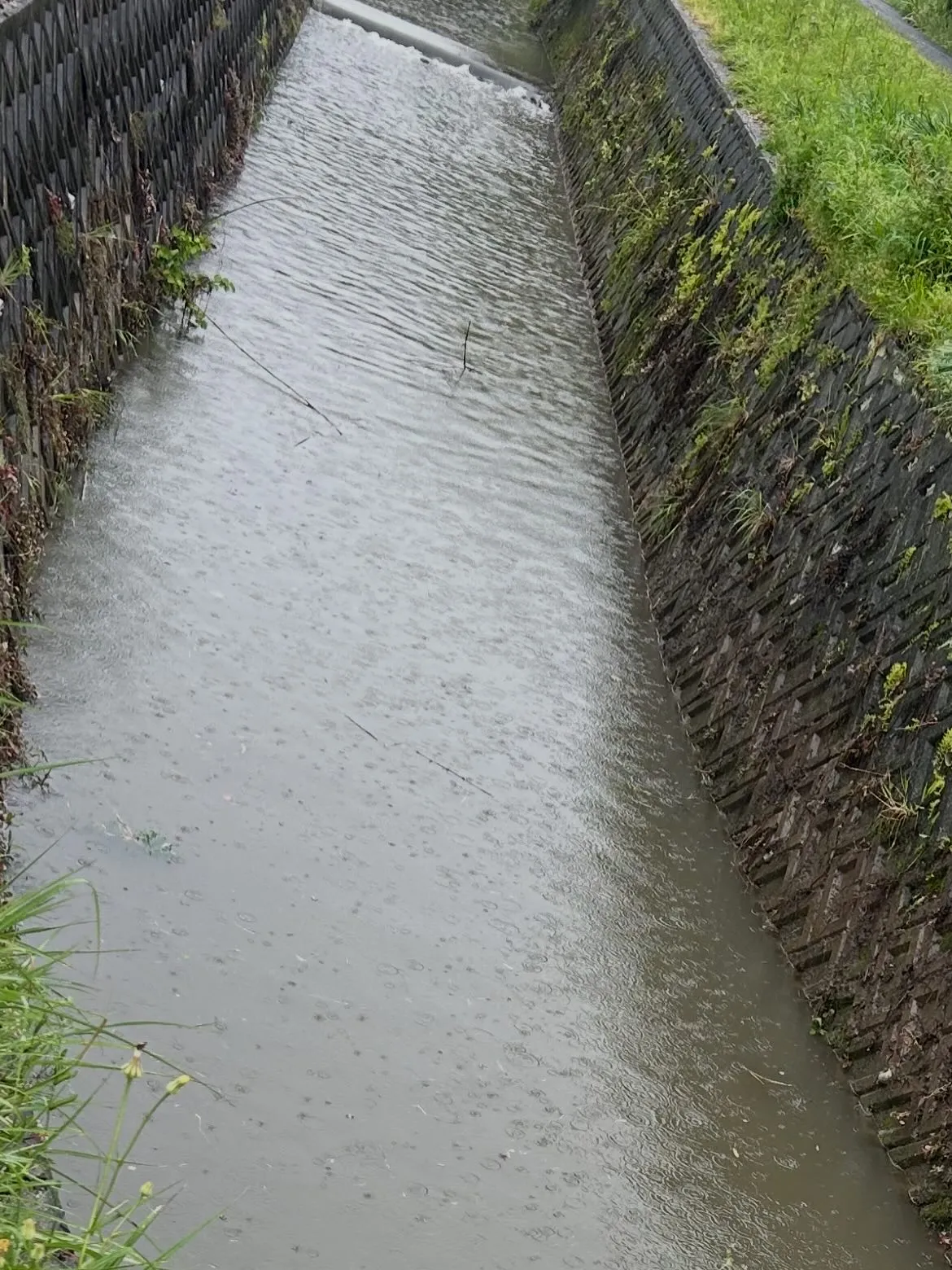 私たちは今回、浚渫工事を通じて川を美しく整えました。