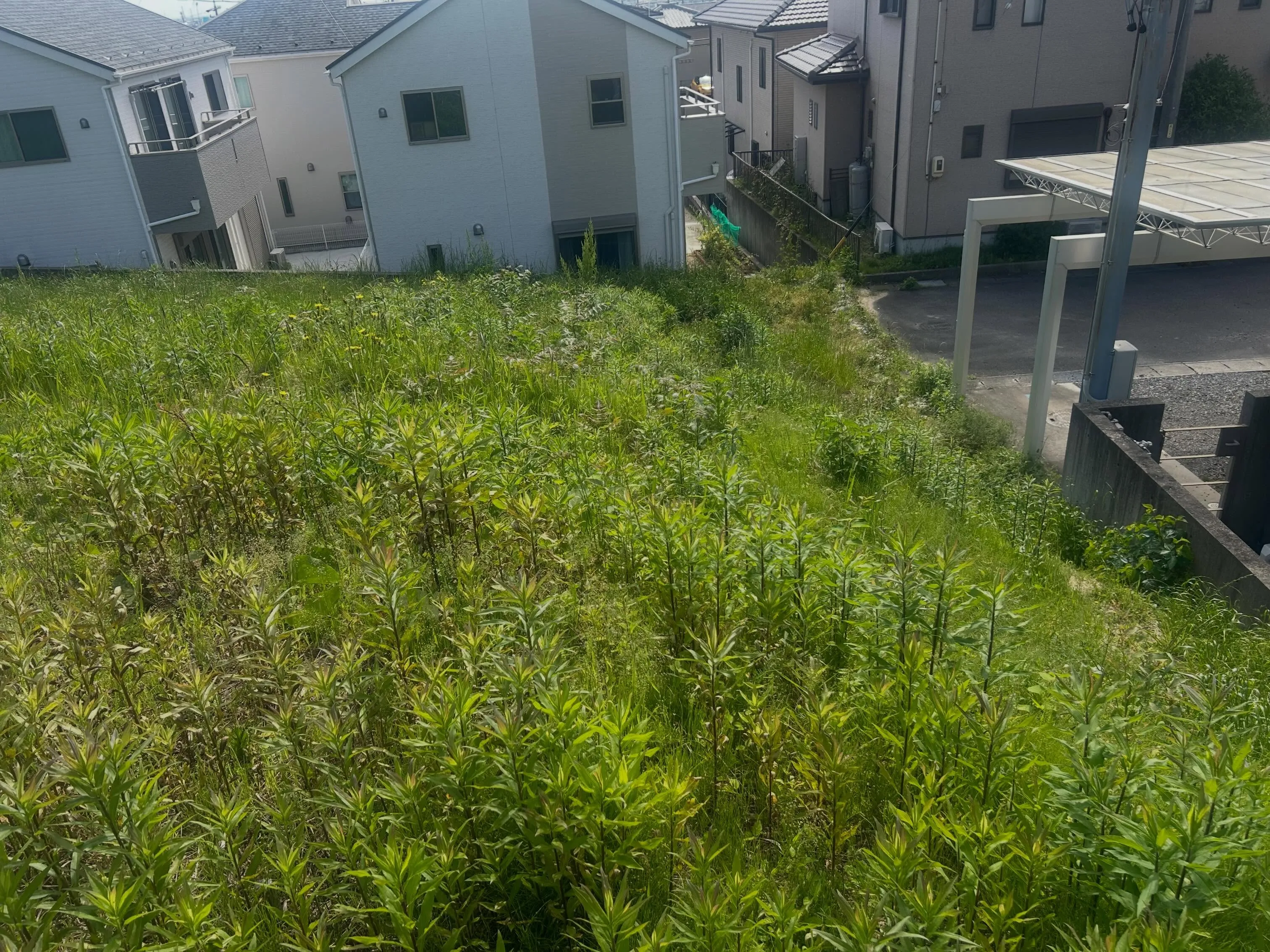 先日、三重県四日市にて約1500平米の広大な草刈り作業を行い...