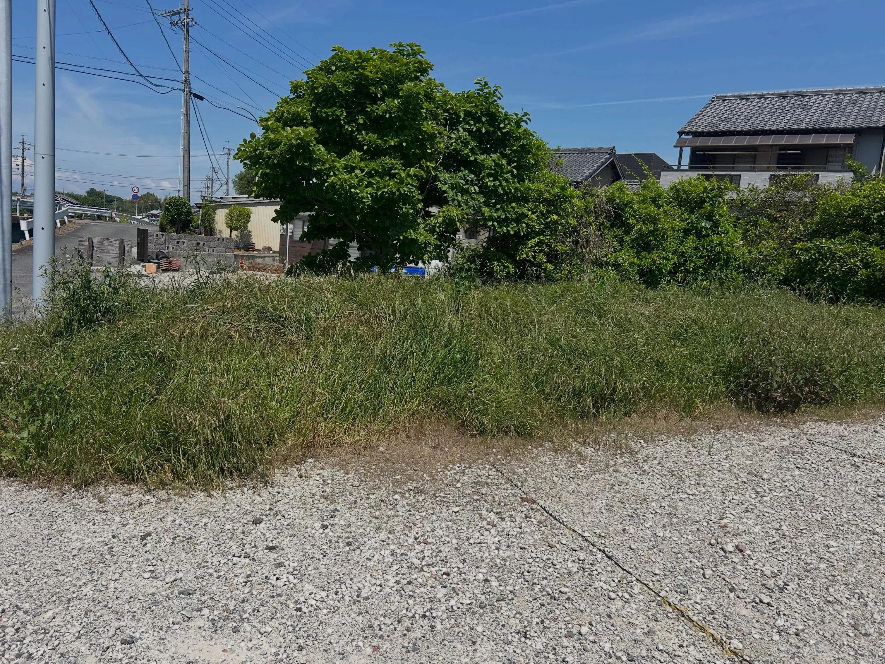 本日は常滑市で駐車場の草刈り作業をさせていただきました。