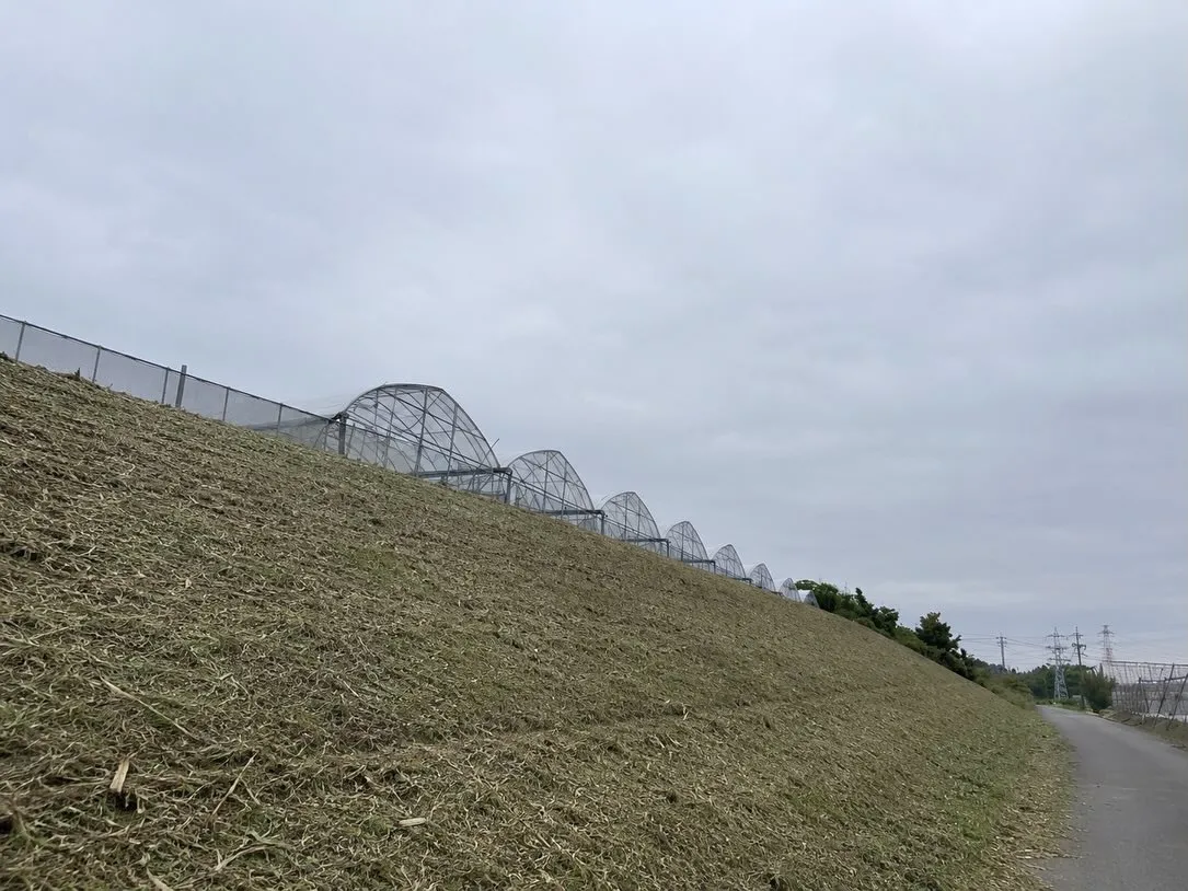先日、農家さんのご依頼で畑の斜面の草刈り作業に行ってきました...