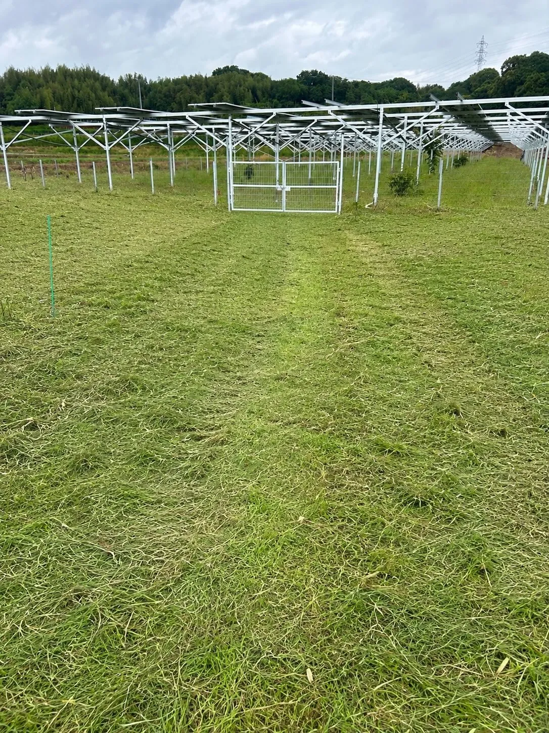 本日は阿久比町での作業を終え、景観が見違えるほど整いました。