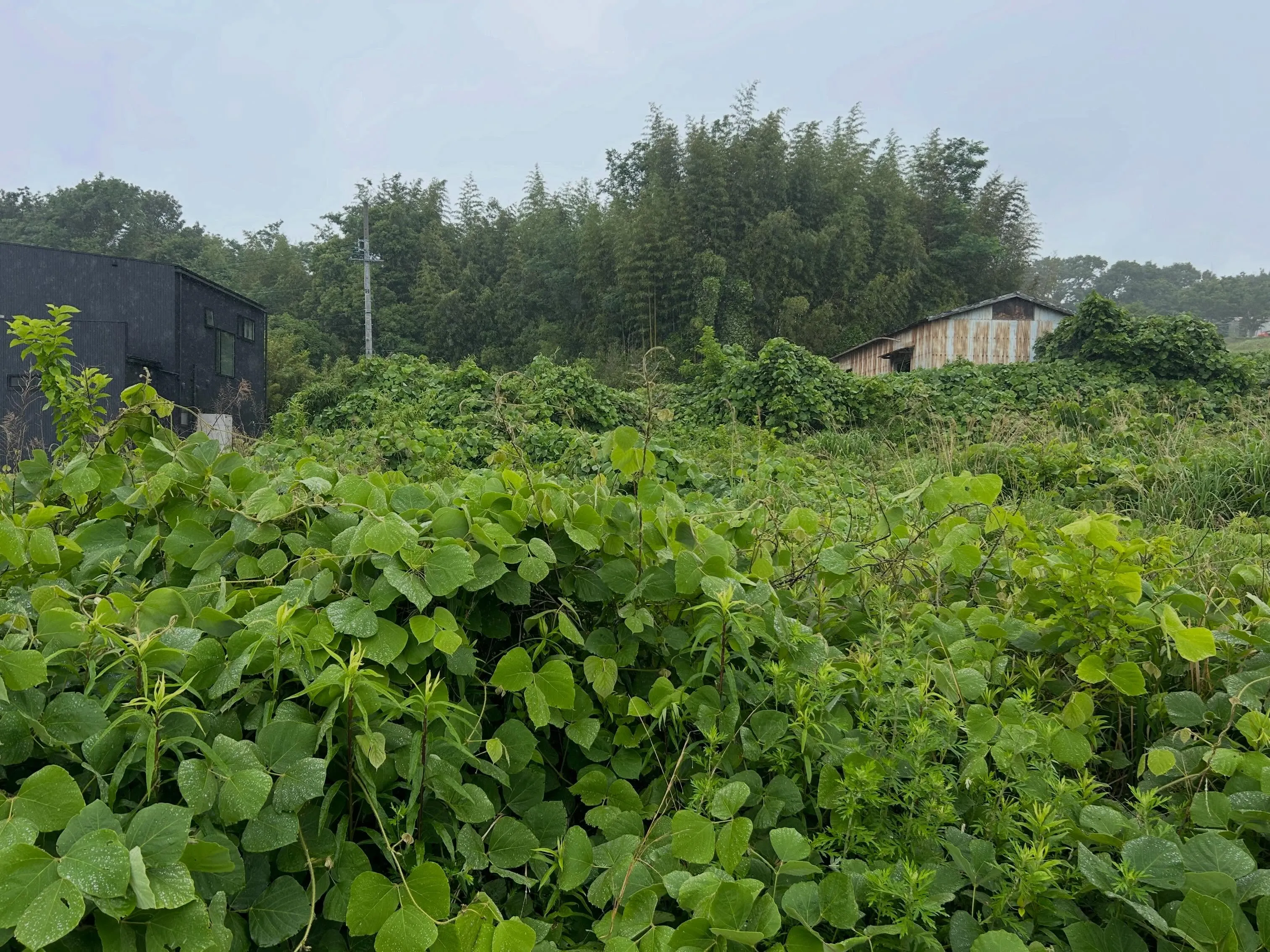 昨日は美浜町での作業がありました。