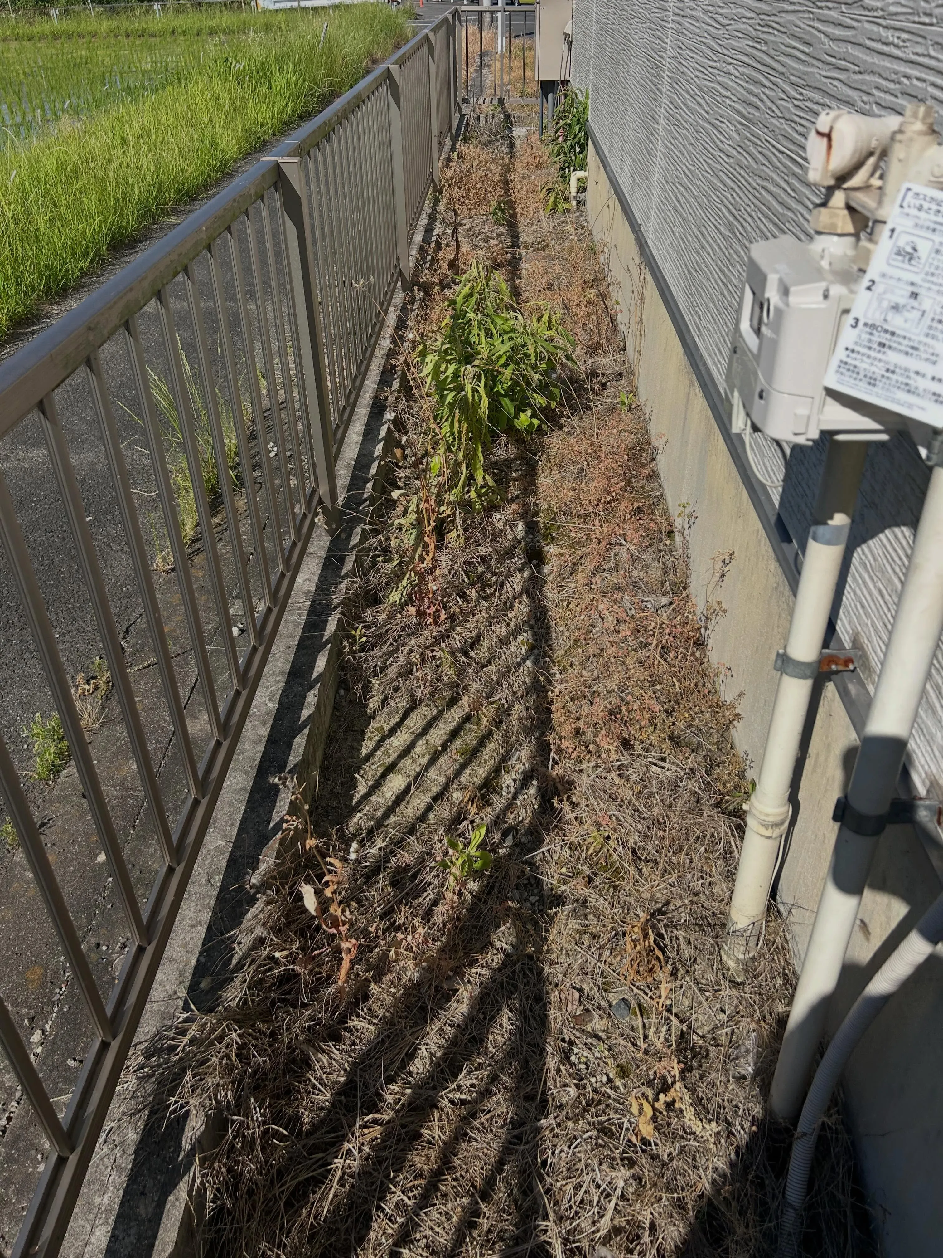 昨日、知多市に住む姉の庭の手入れをしてきました。