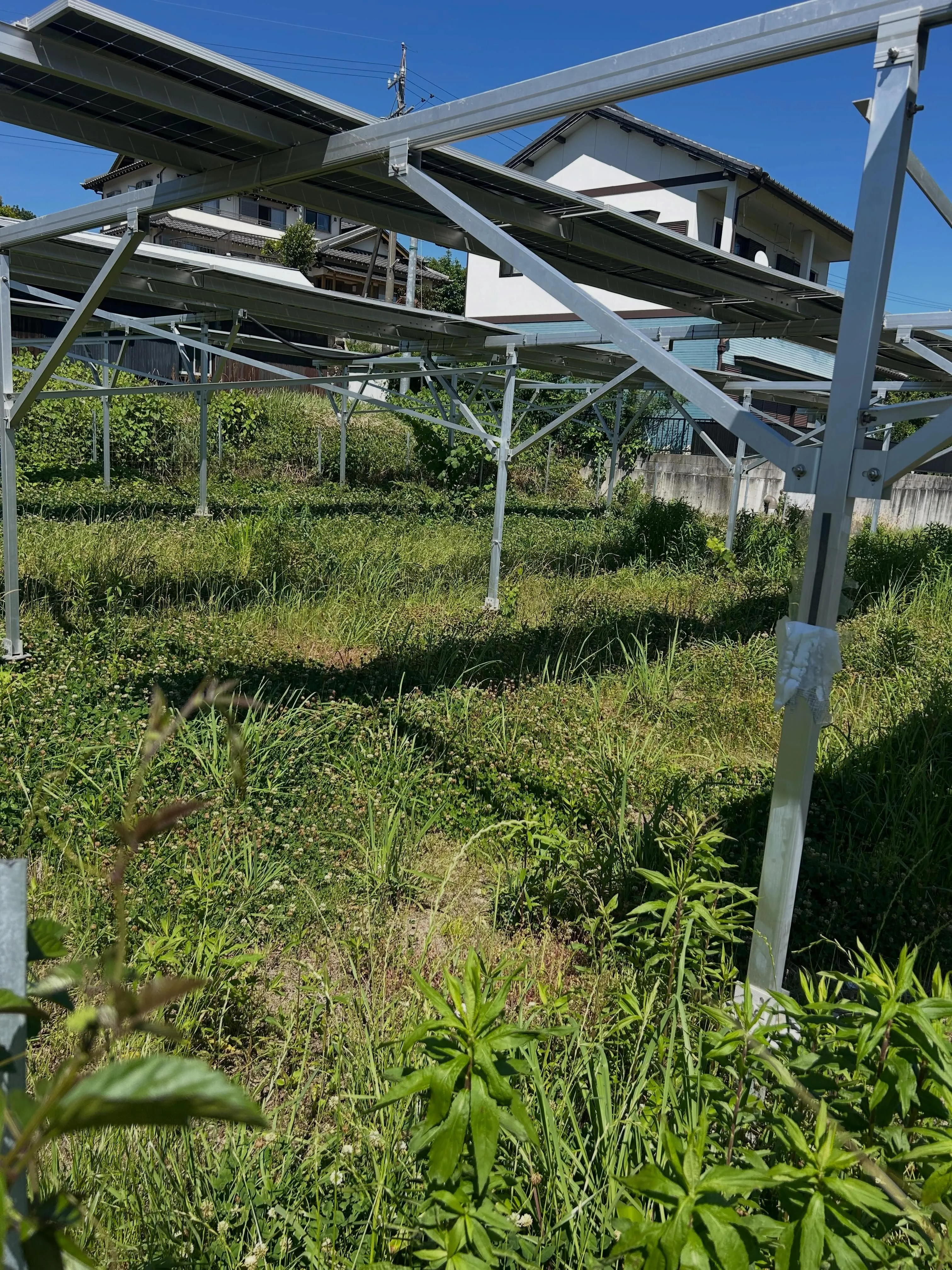 阿久比町で、太陽光パネル周辺の草刈りを行いました。