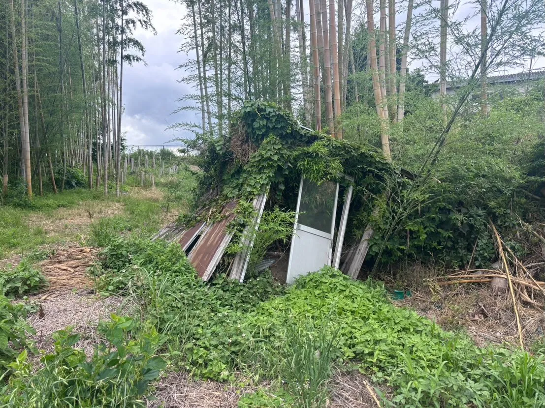 本日は大府市で、小屋の解体と撤去をスムーズに行いました。