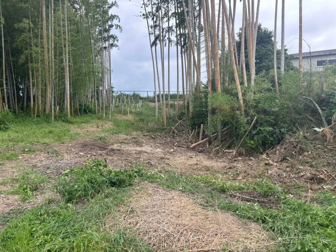 本日は大府市で、小屋の解体と撤去をスムーズに行いました。