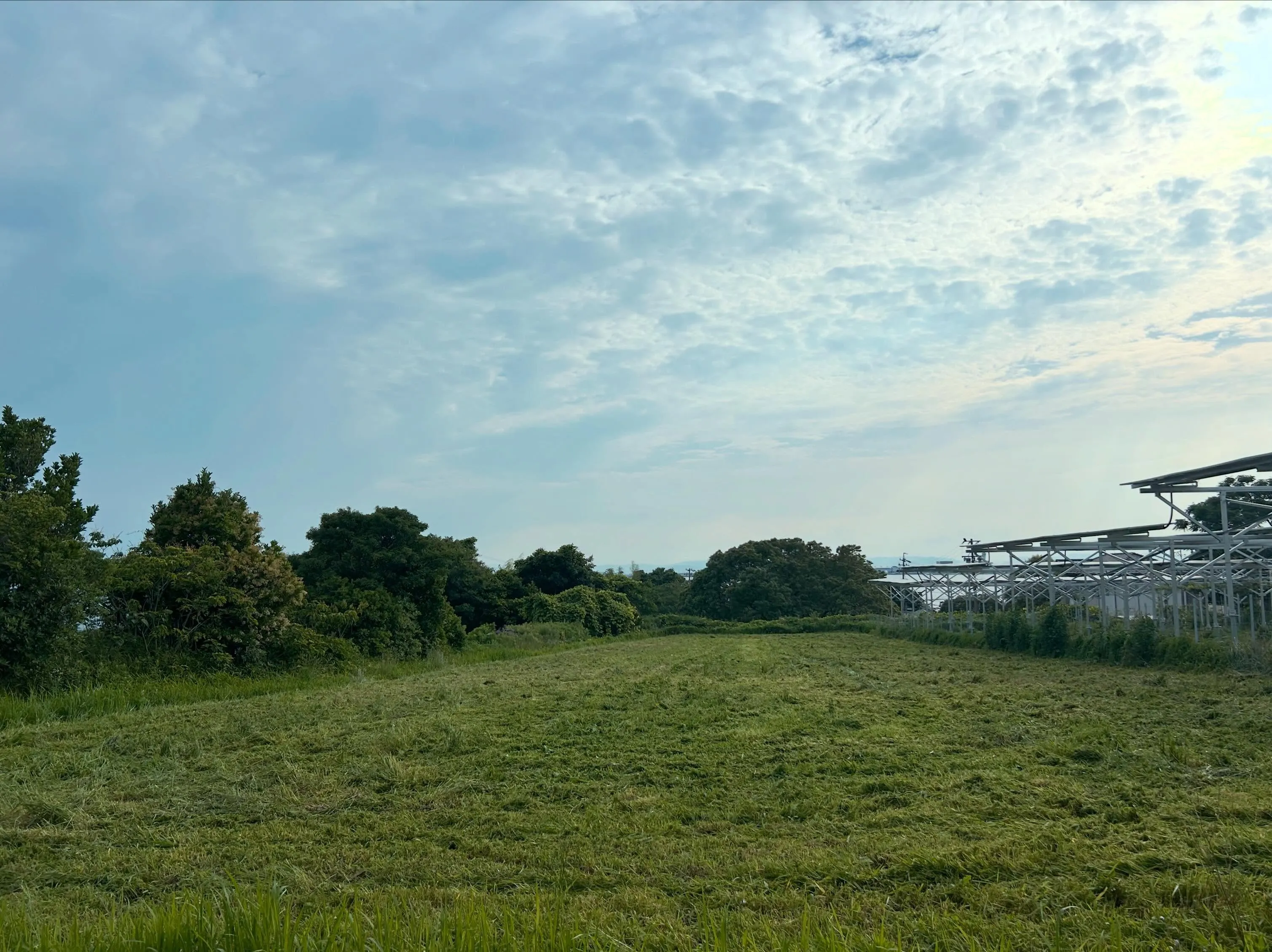 常滑市にソーラーパネルを設置するにあたり、草刈りを行い地面を...