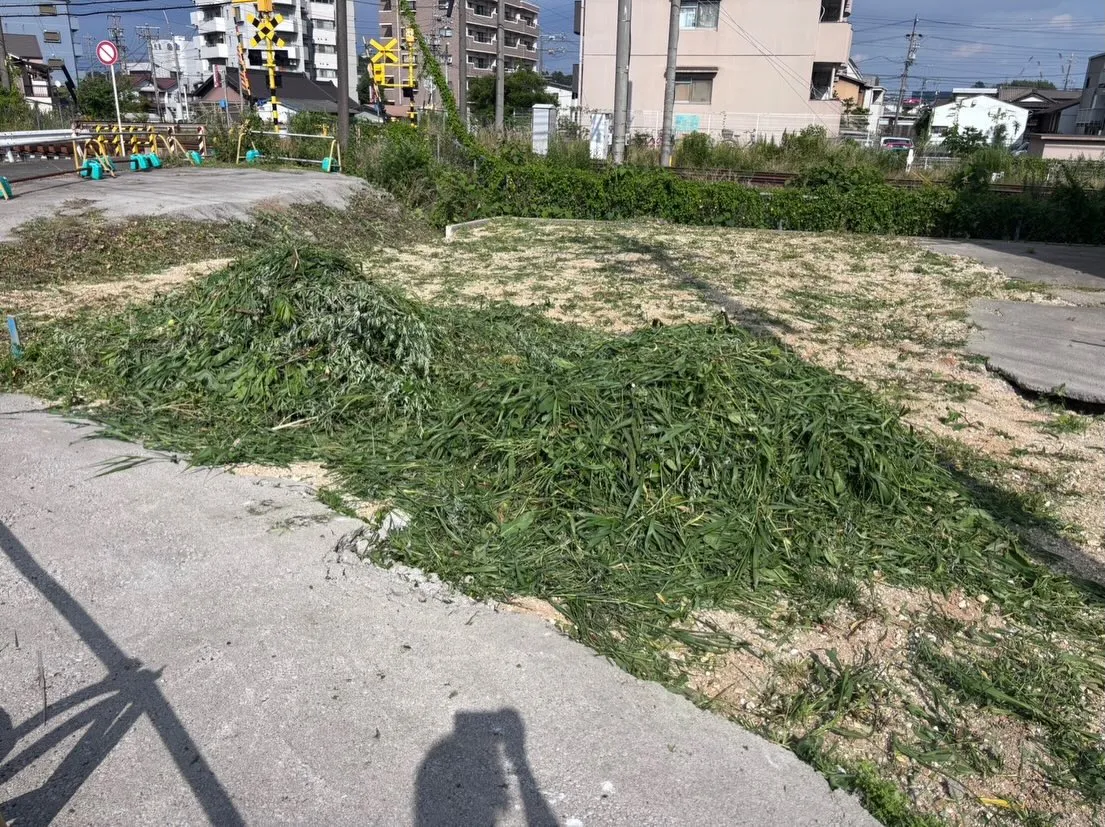 今年も東海市で始まった草刈り活動。