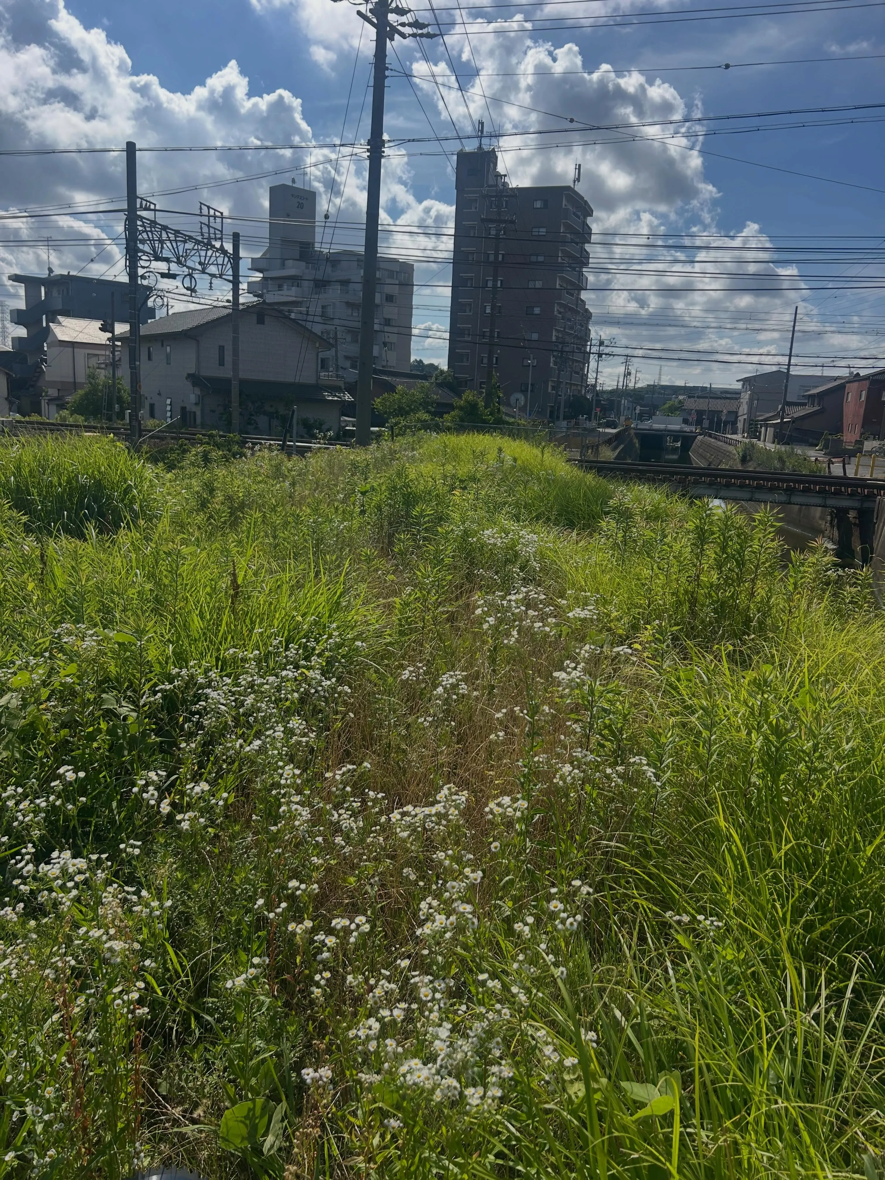 東海市の景観維持に努めています。