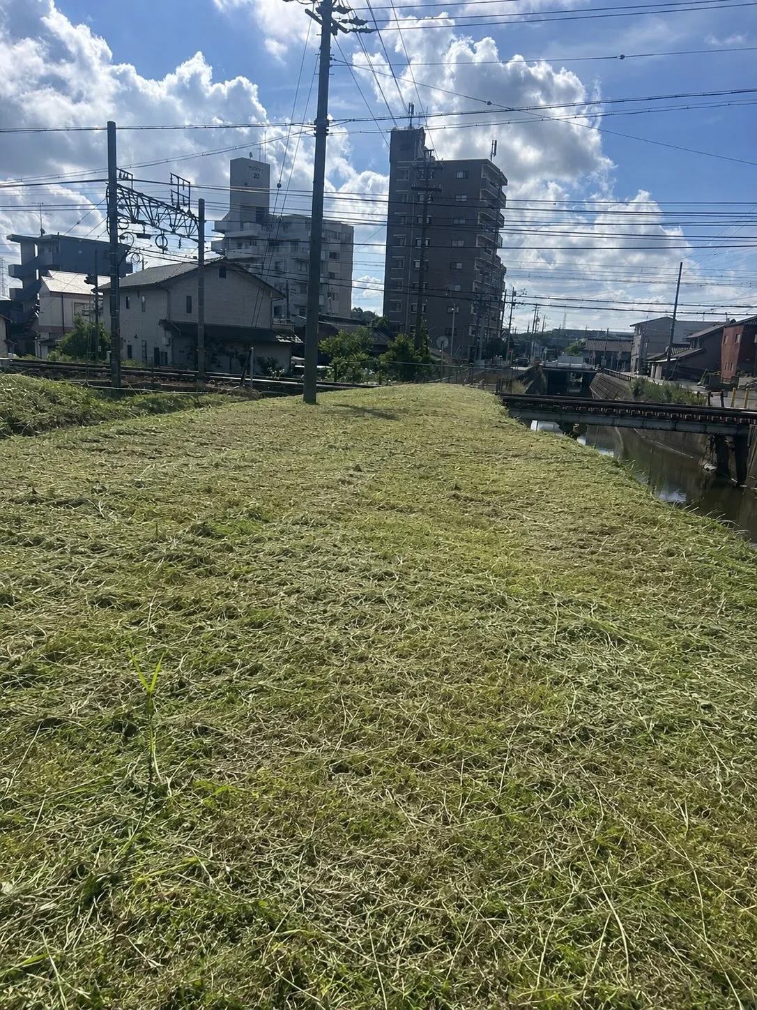 東海市の景観維持に努めています。
