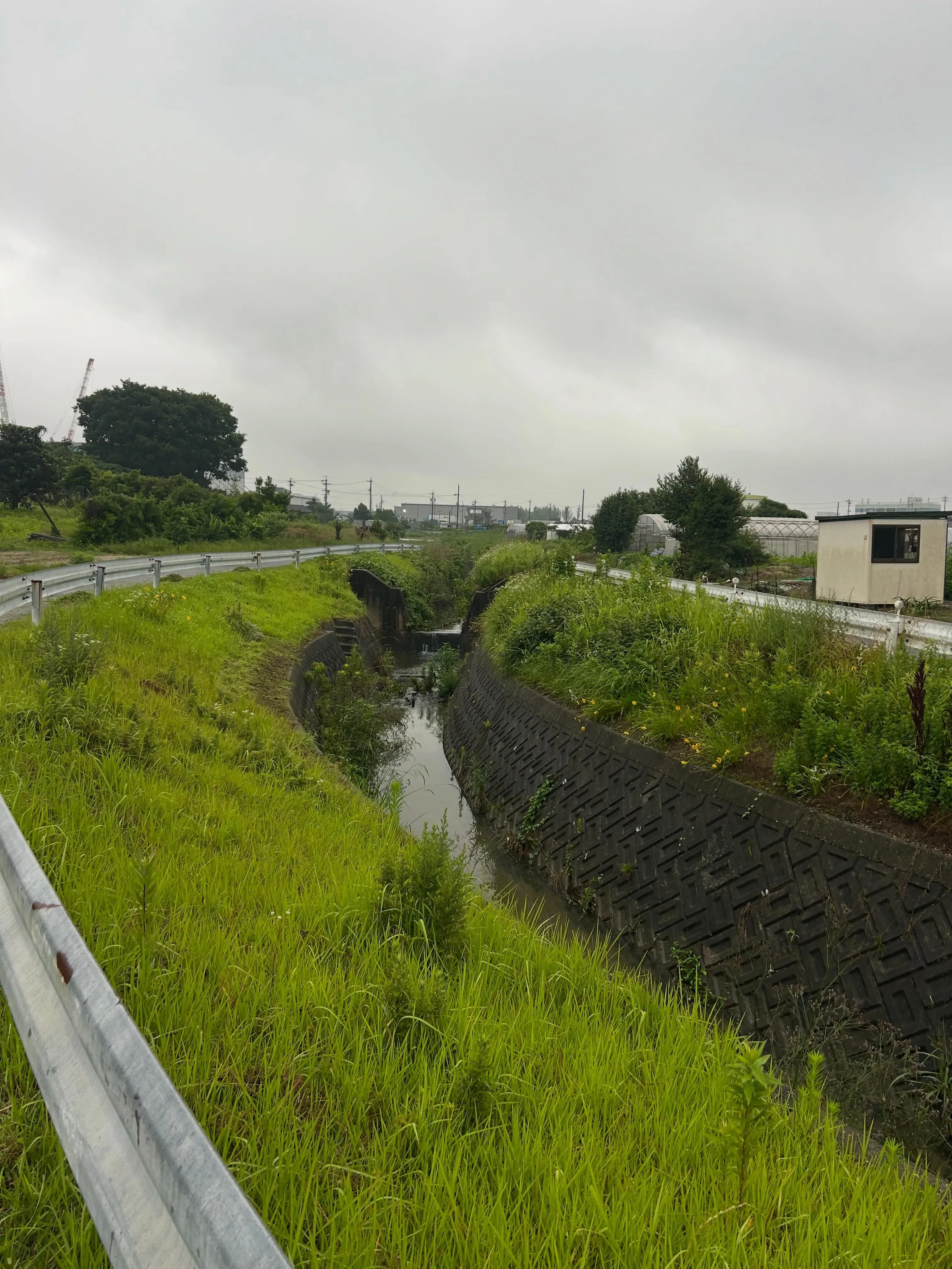 雨にも負けず、東海市でしっかりと草刈り作業を進めました。