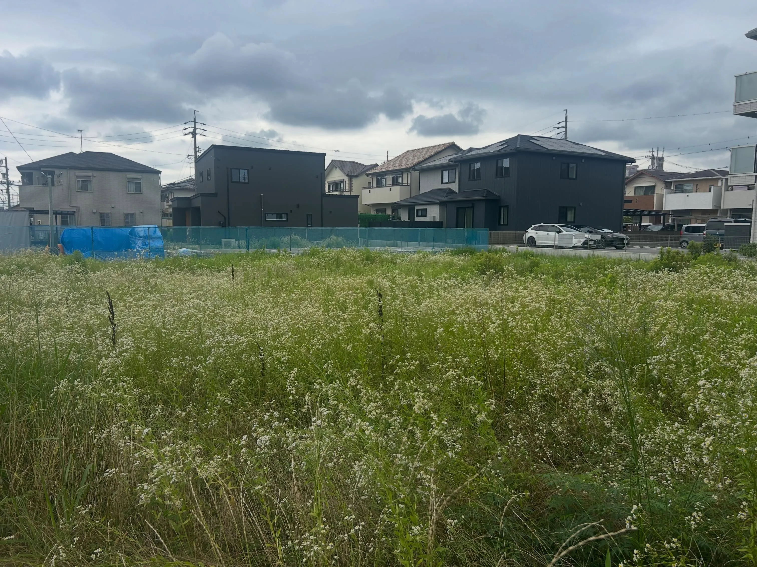 春日井市での活動報告です。