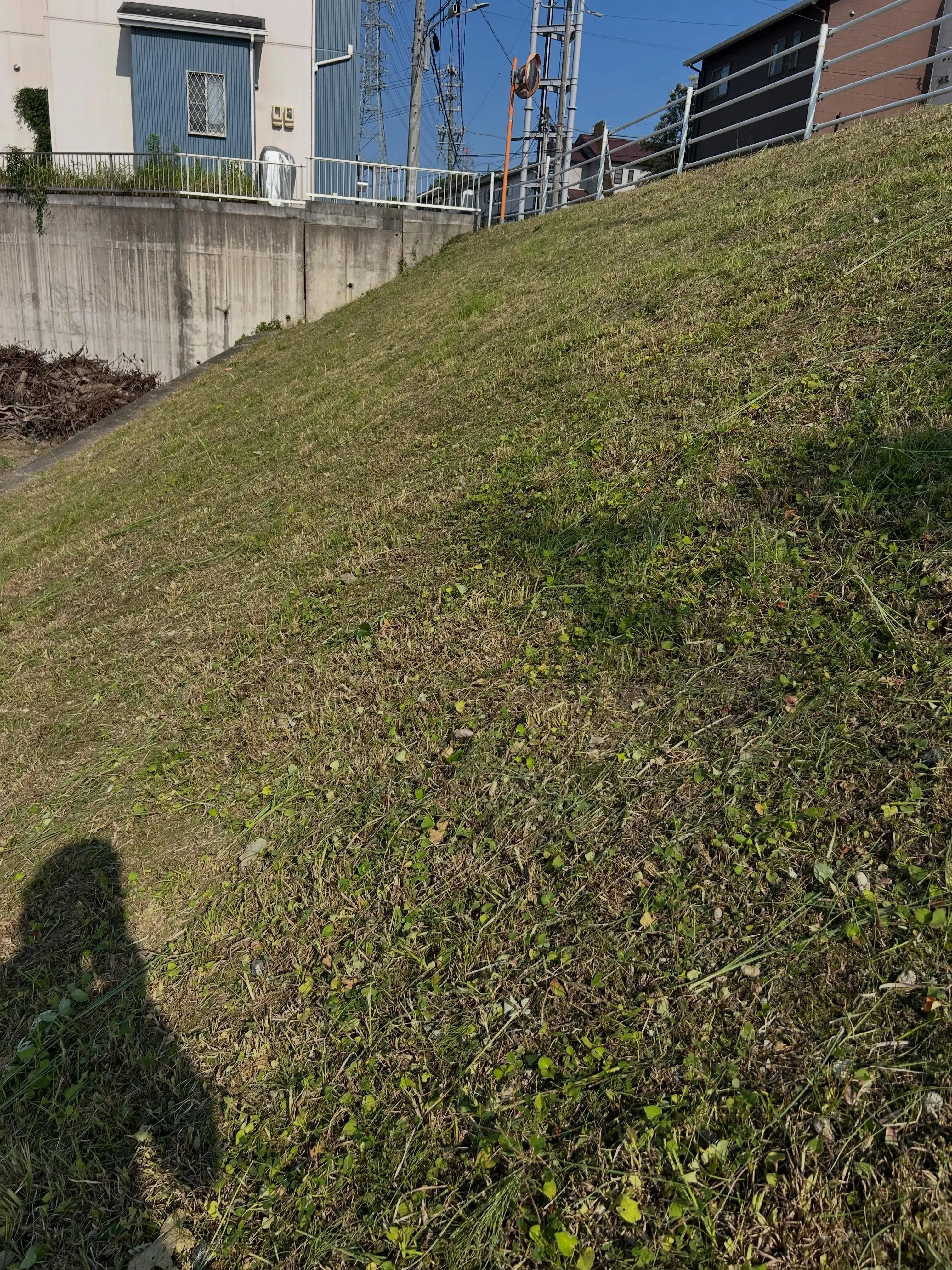 成長が早いこの季節、急な斜面でも草刈りが必要です。