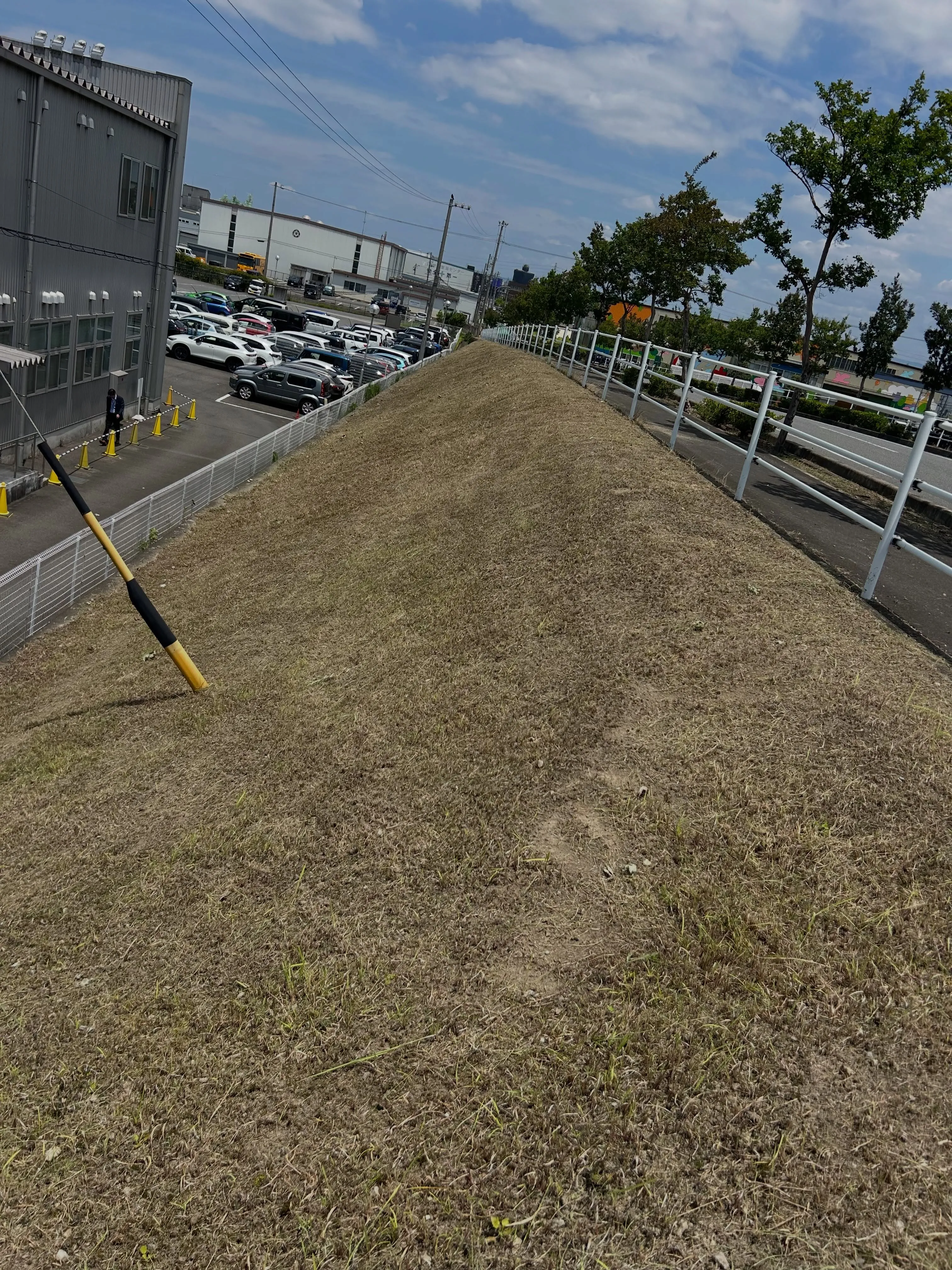 本日は、東海市の斜面での草刈り作業を行いました。