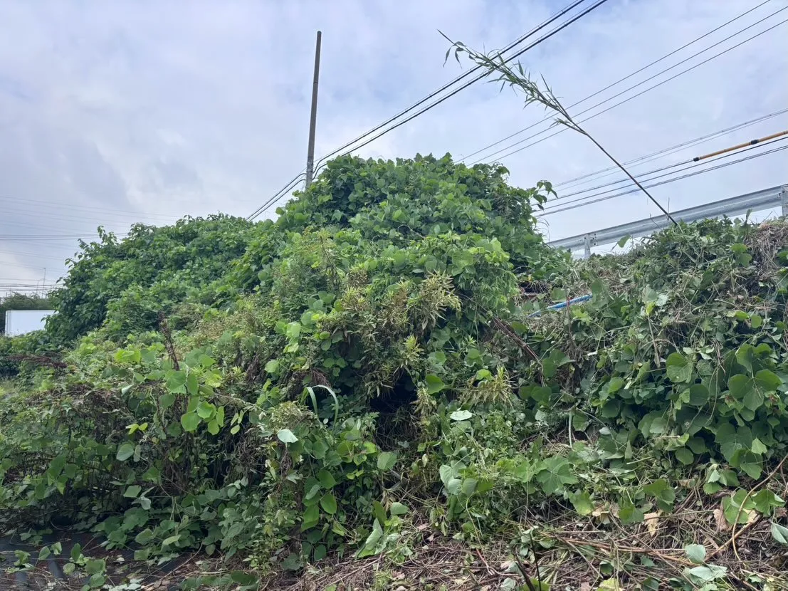 今日も東海市の現場で作業に取り組みました。