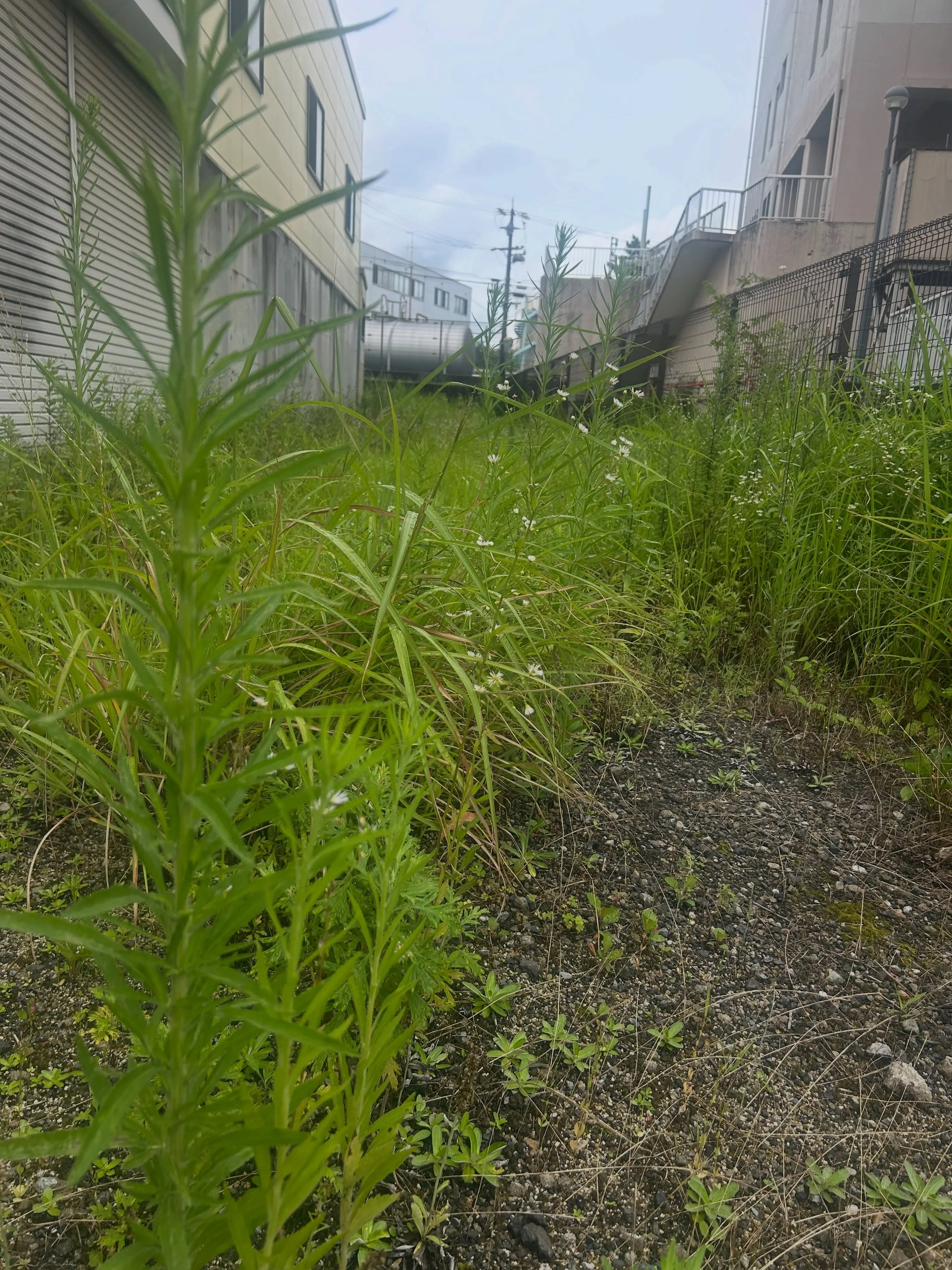 予定通り東海市での作業を無事に終えられました。