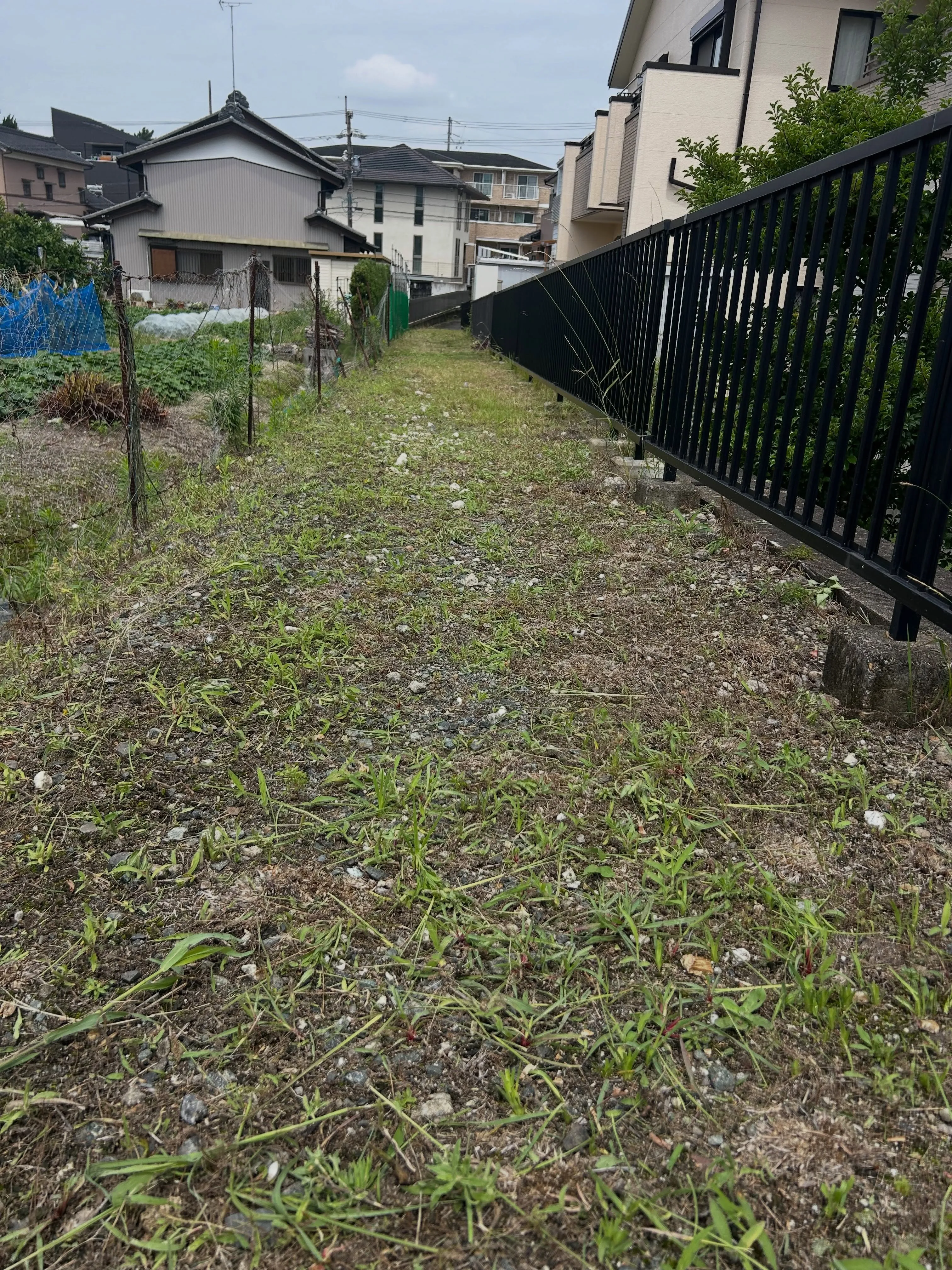 東海市の住宅街で、少し狭いスペースでの草刈りを行ってきました...