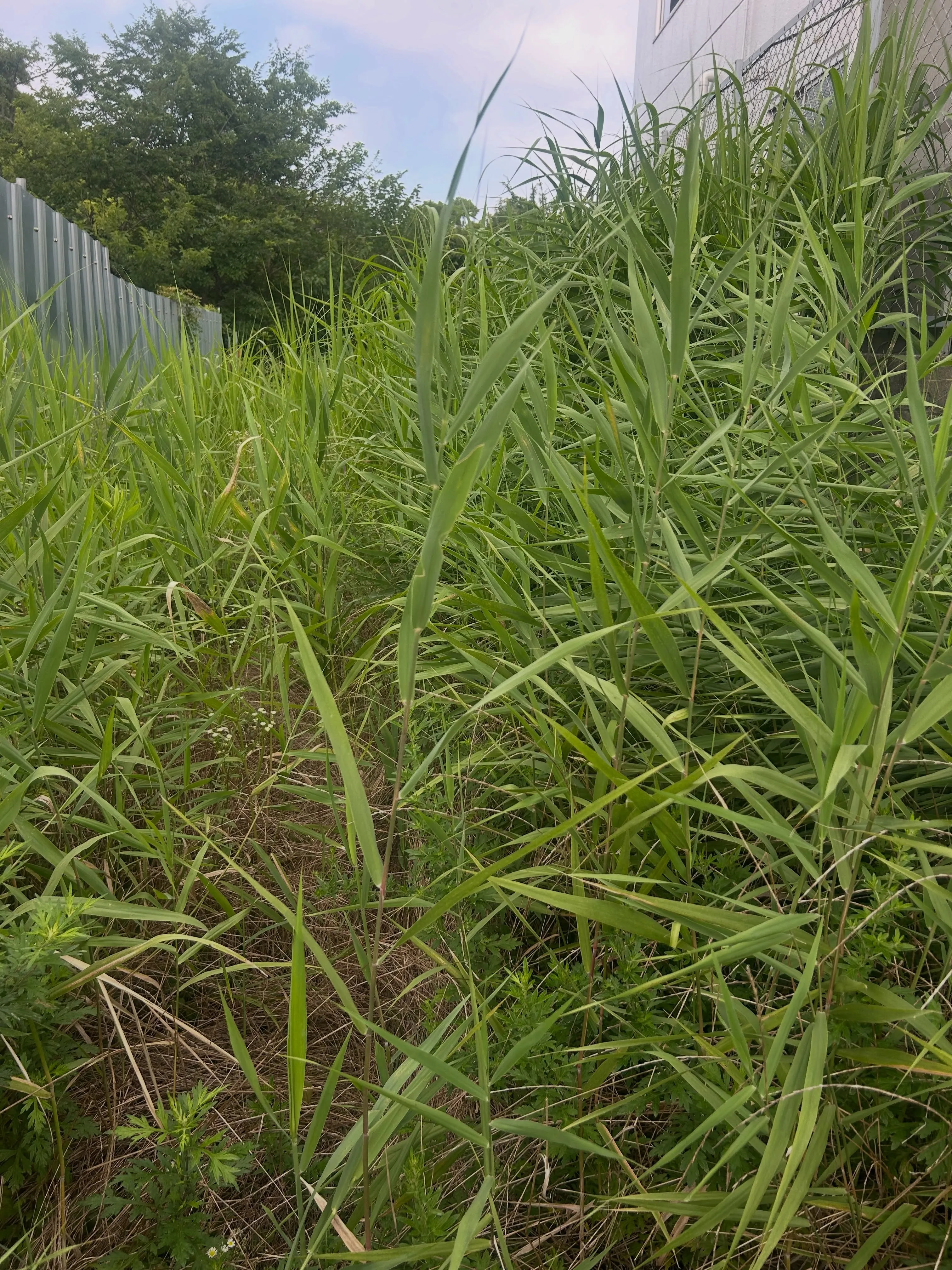 今日も暑い中、東海市での作業を無事に終えました。