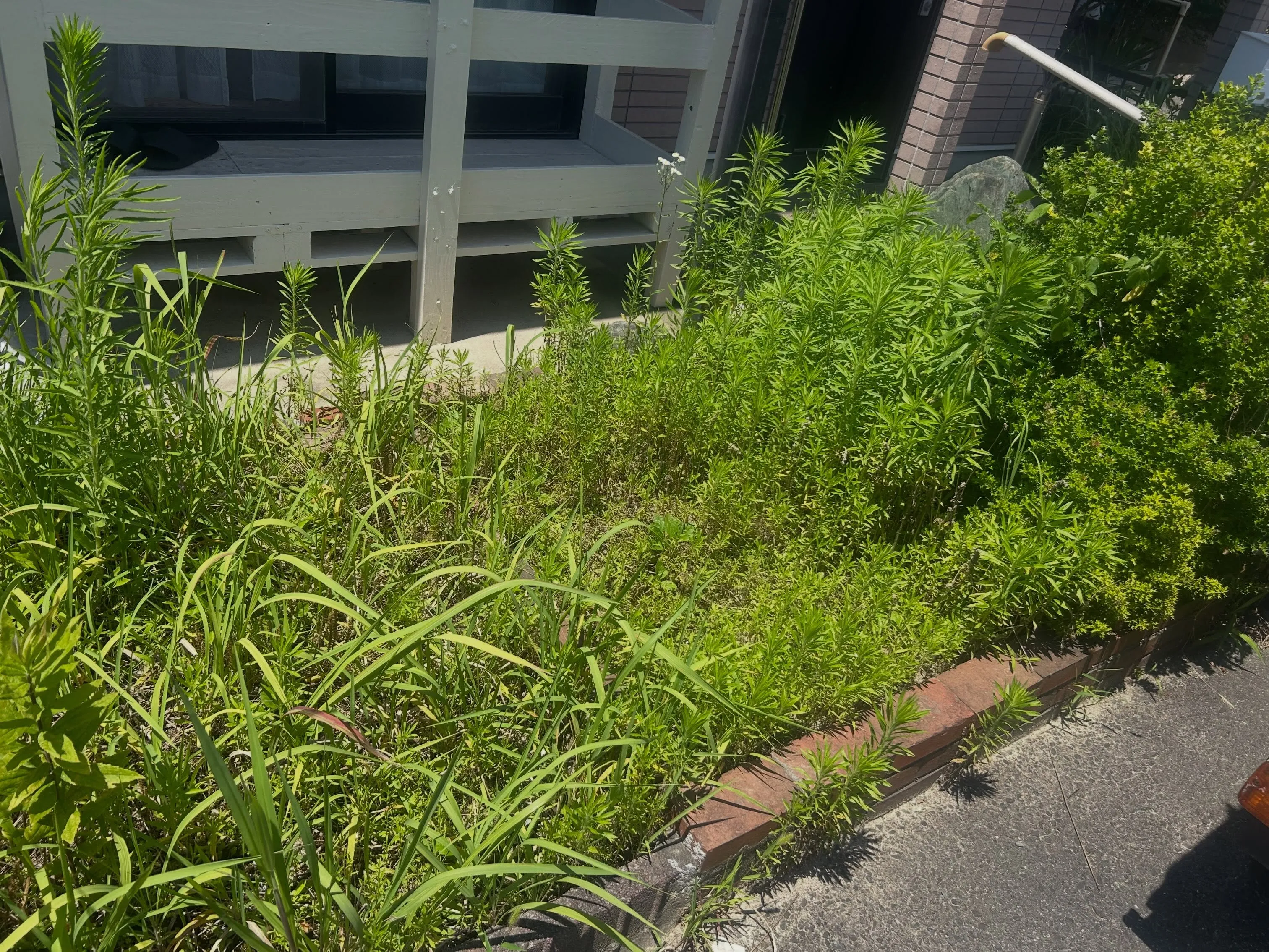 お庭のお手入れでお困りですか?