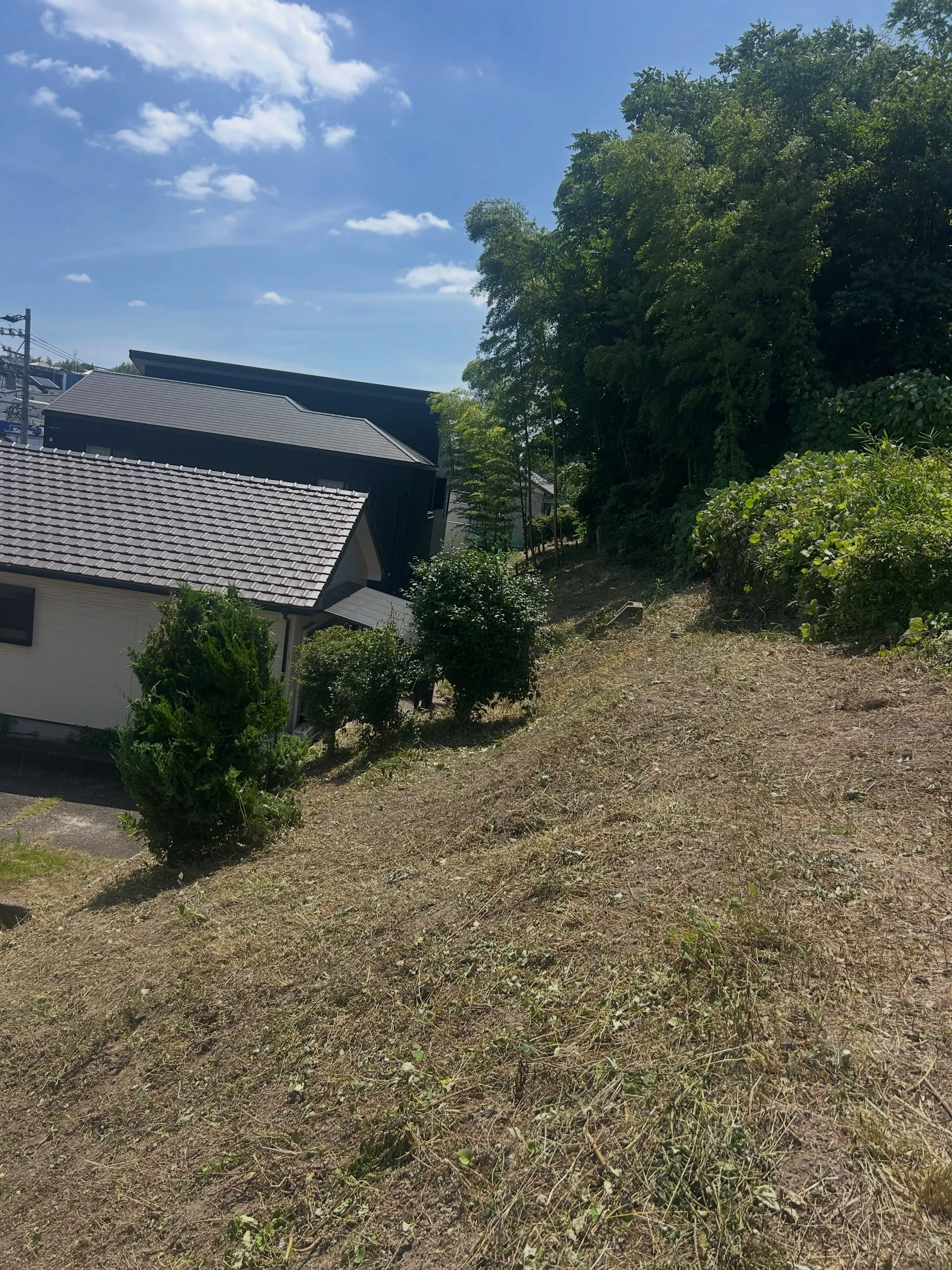 今日は東海市の草刈り作業の日でした。