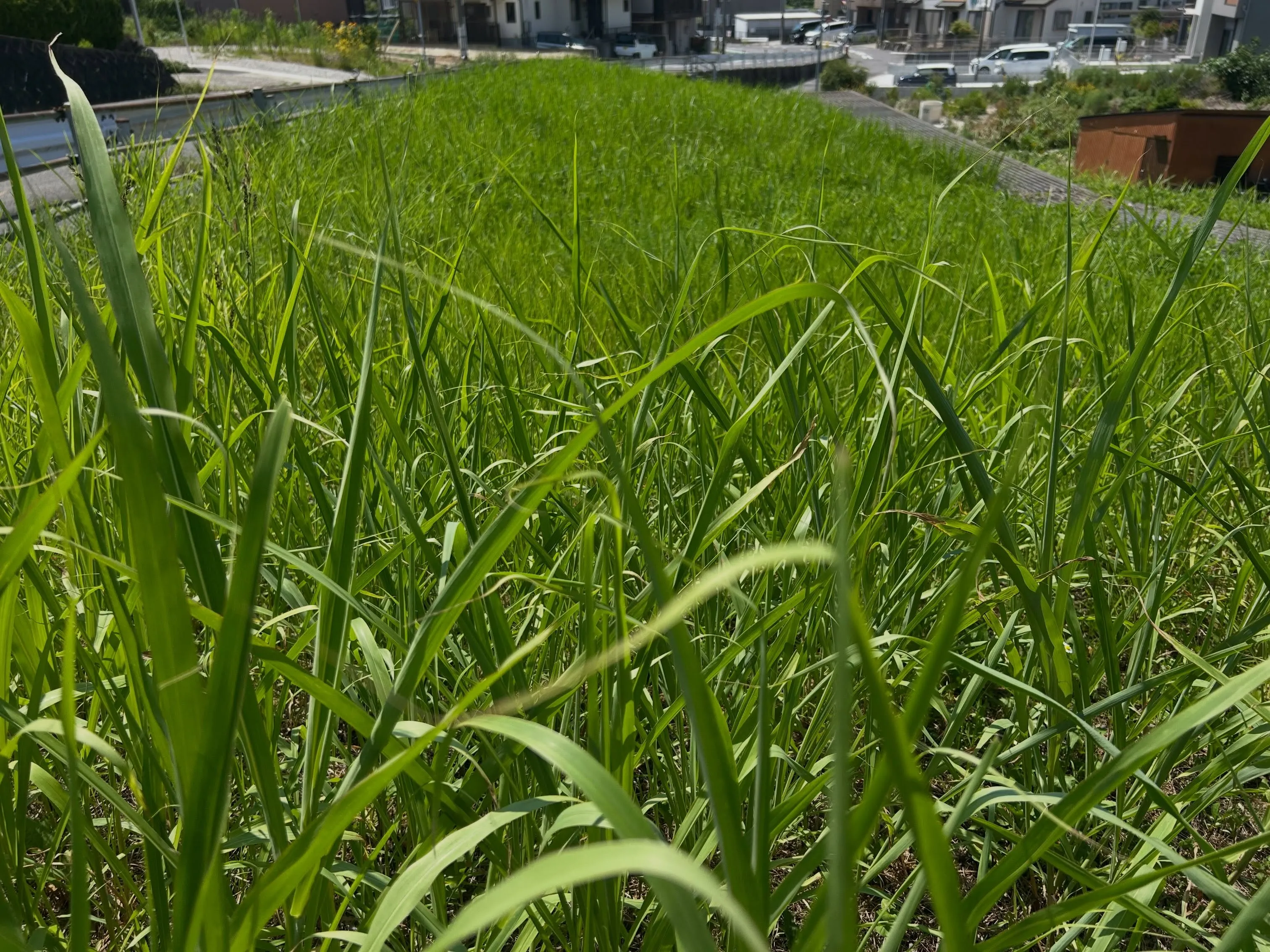 本日は東海市での作業日。