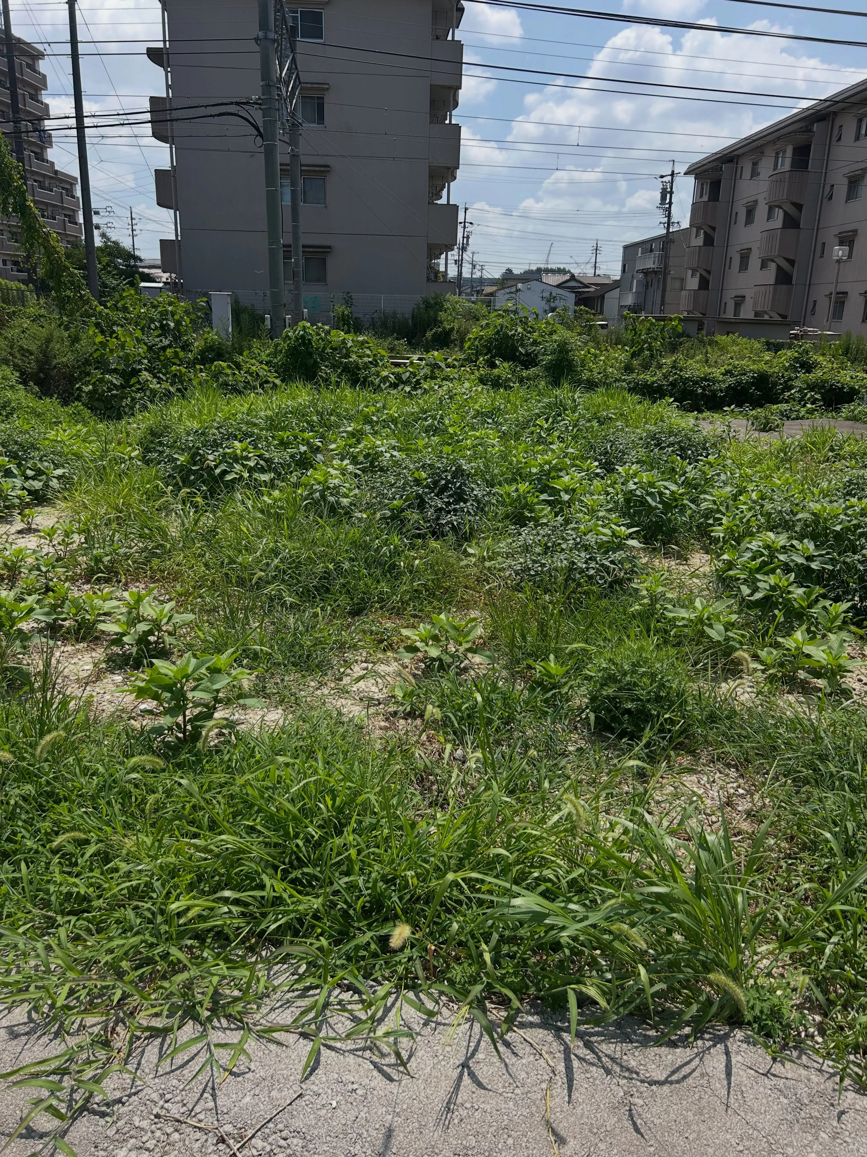 本日も東海市で過酷な暑さの中、無事に一仕事を終えることができ...