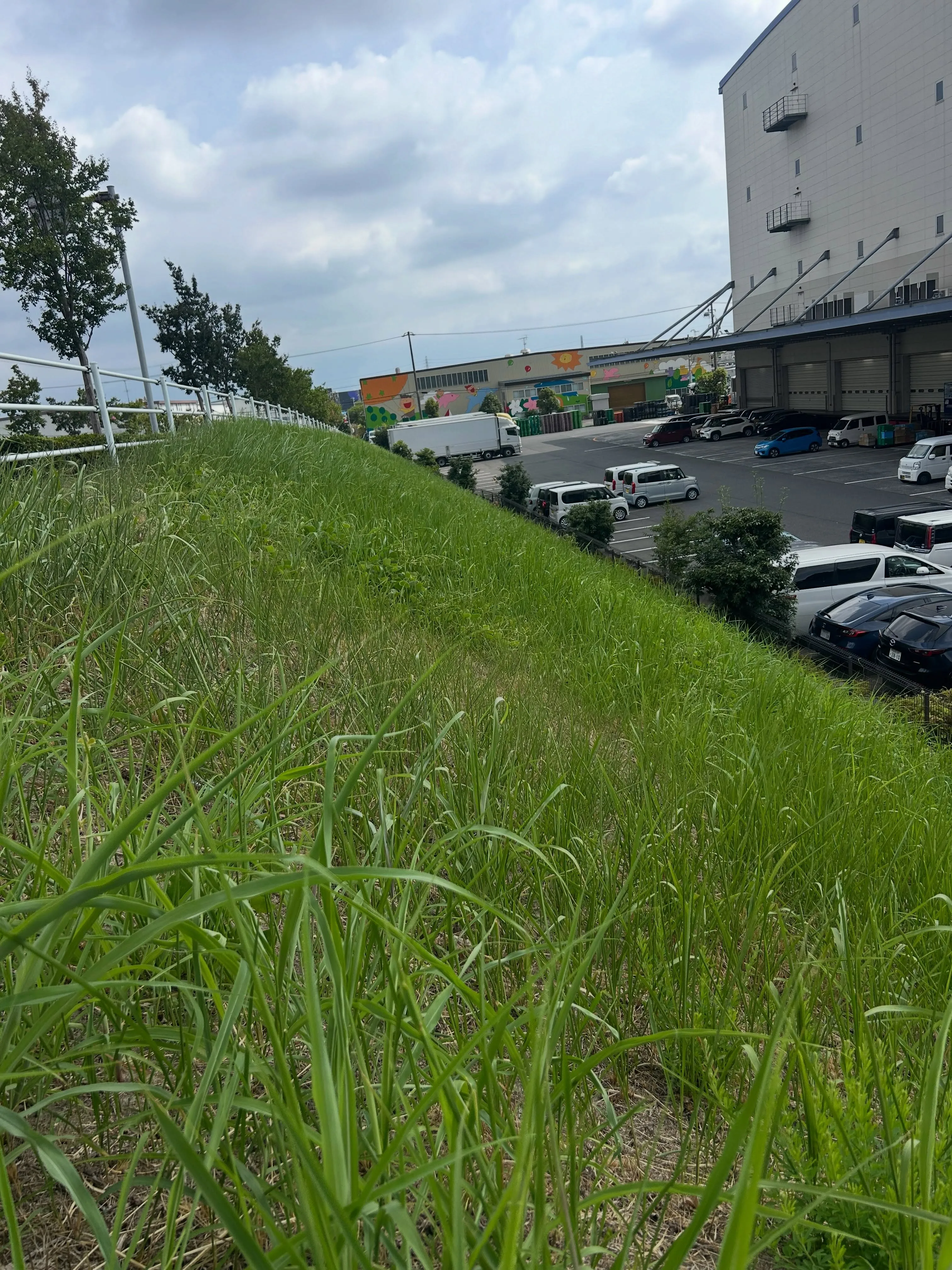 本日、東海市にて草刈りの作業を無事に終えることができました。