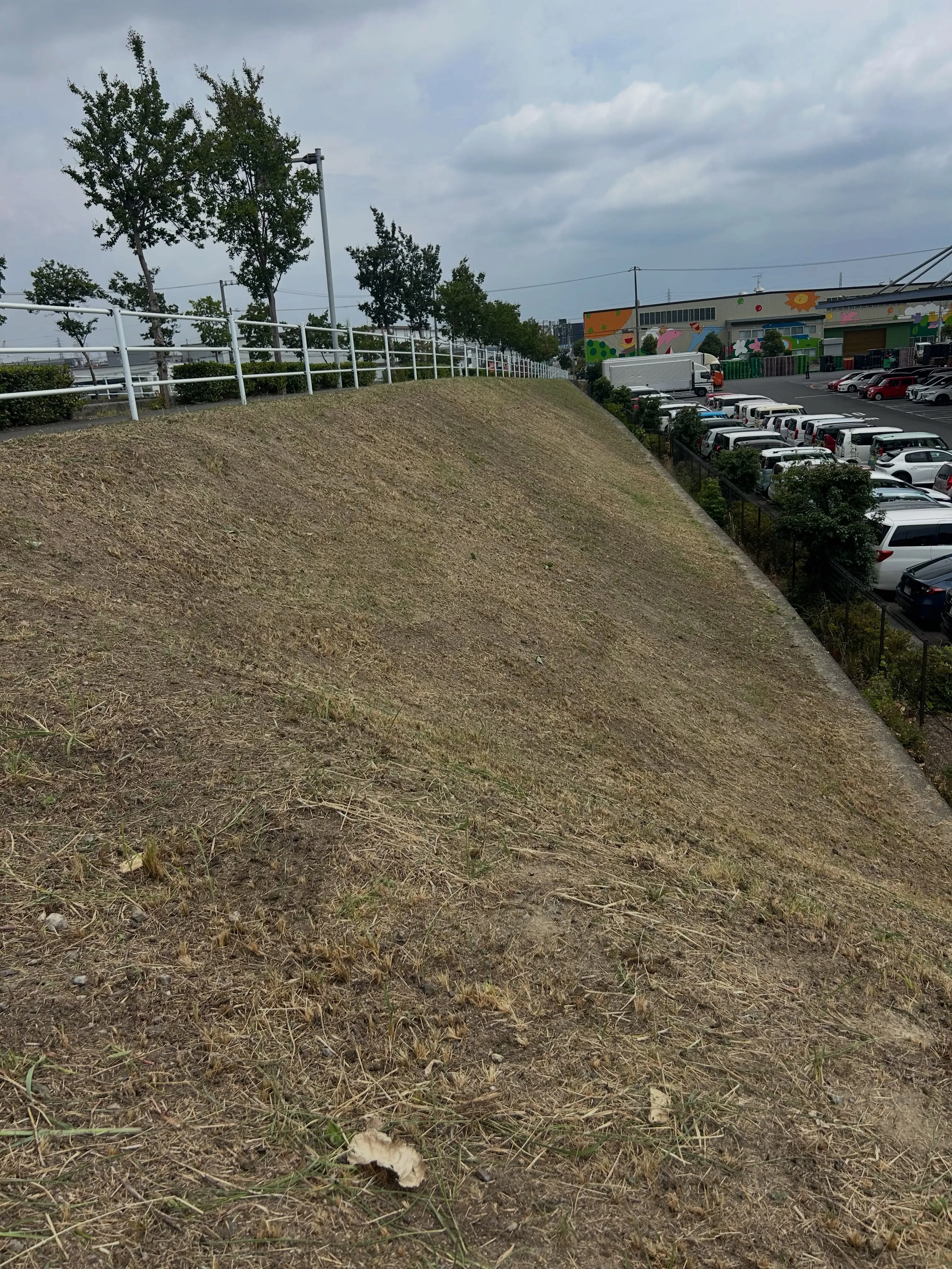 本日、東海市にて草刈りの作業を無事に終えることができました。