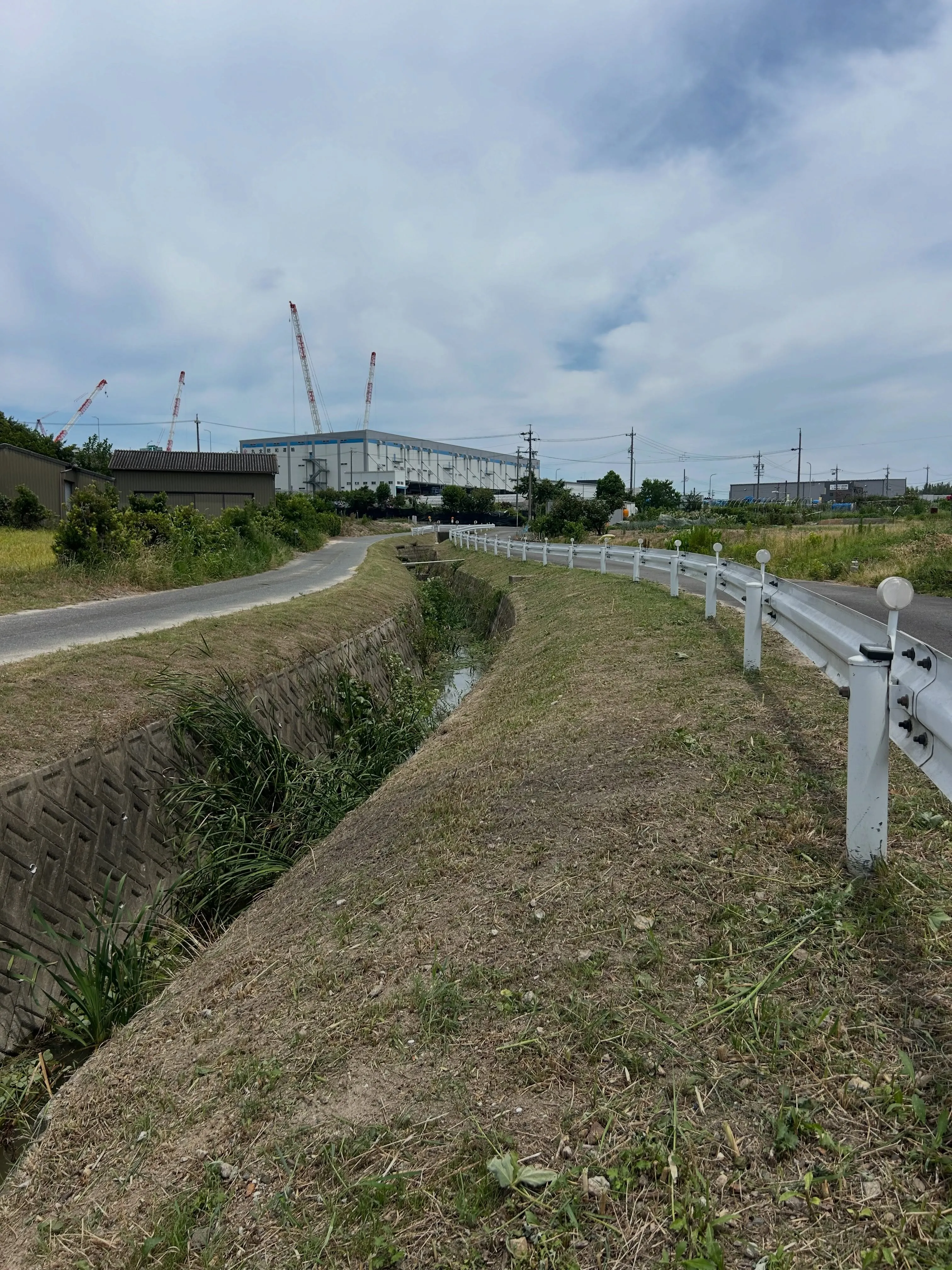 本日は東海市の河川沿いの草刈りを行いました。