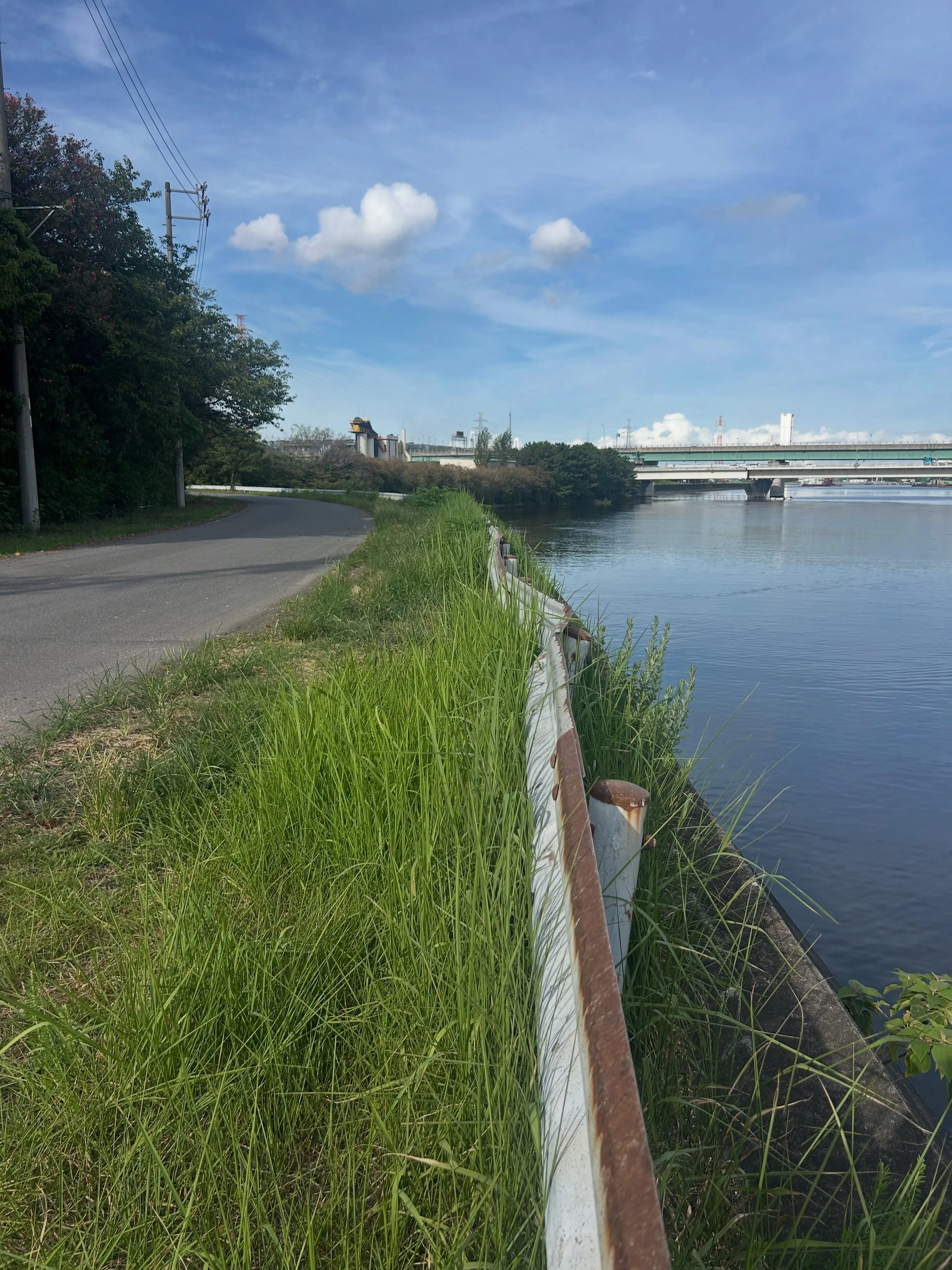 昨日、東海市にて海風を感じながら、すくすくと伸びた草を刈り、...