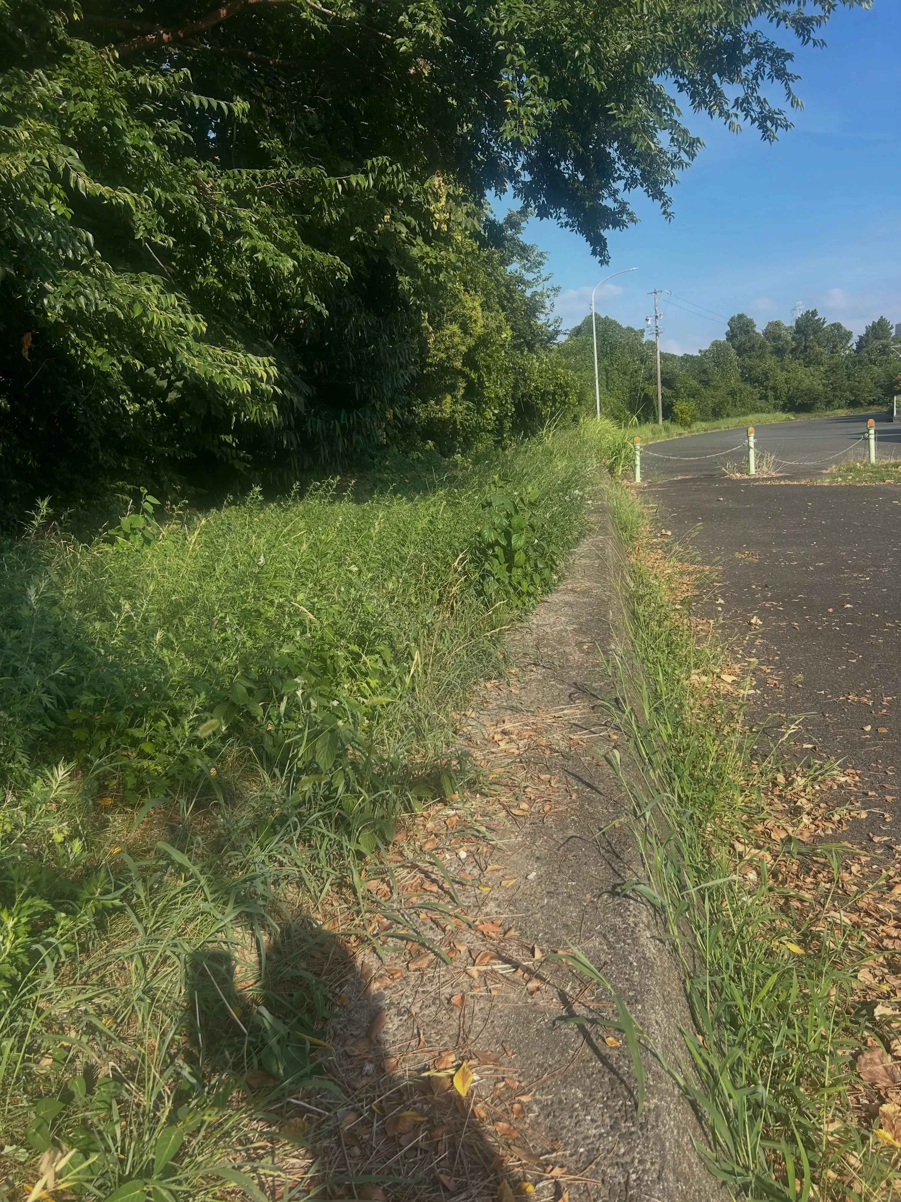 今日も東海市で草刈りを頑張りました。