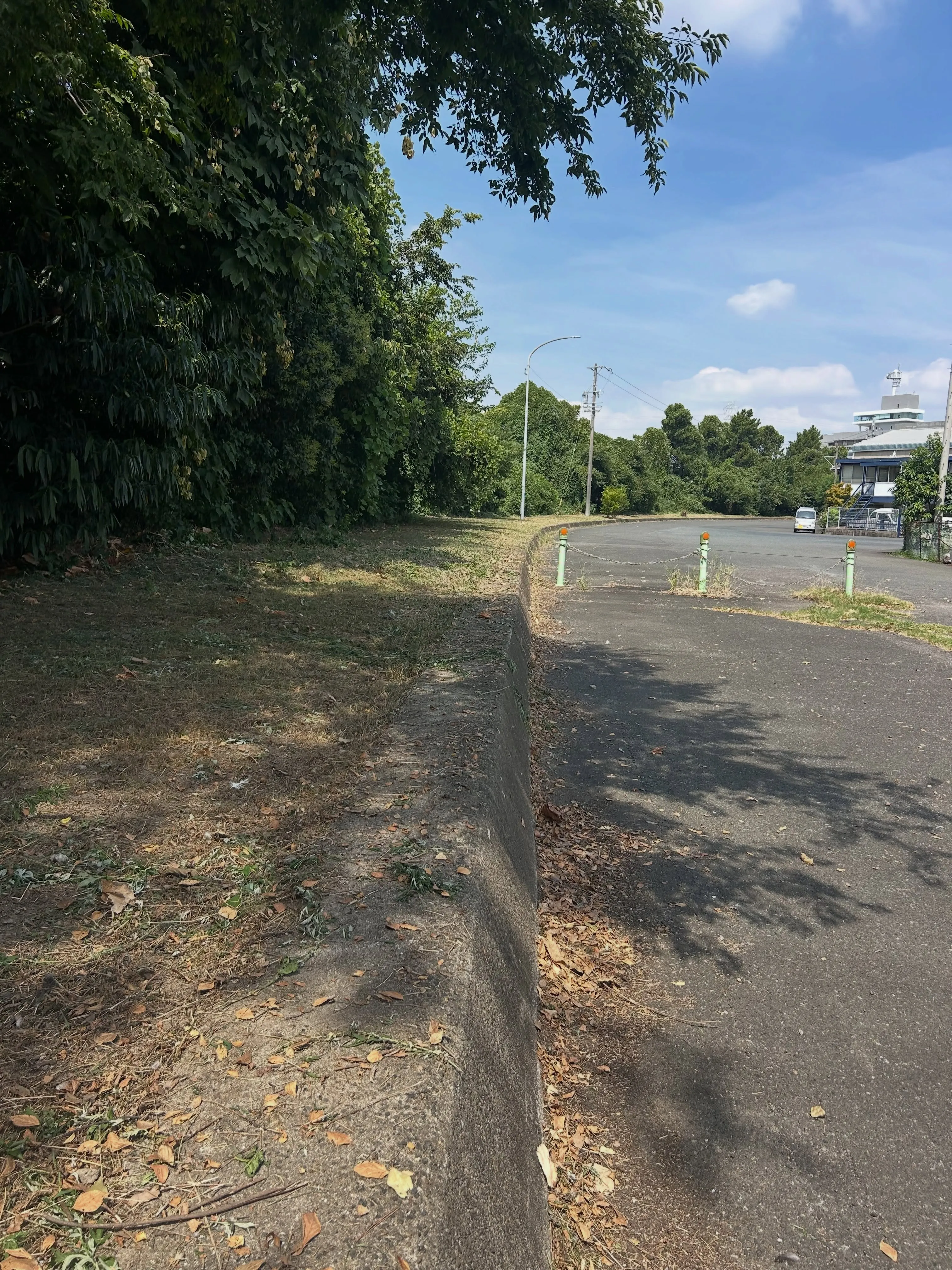 今日も東海市で草刈りを頑張りました。