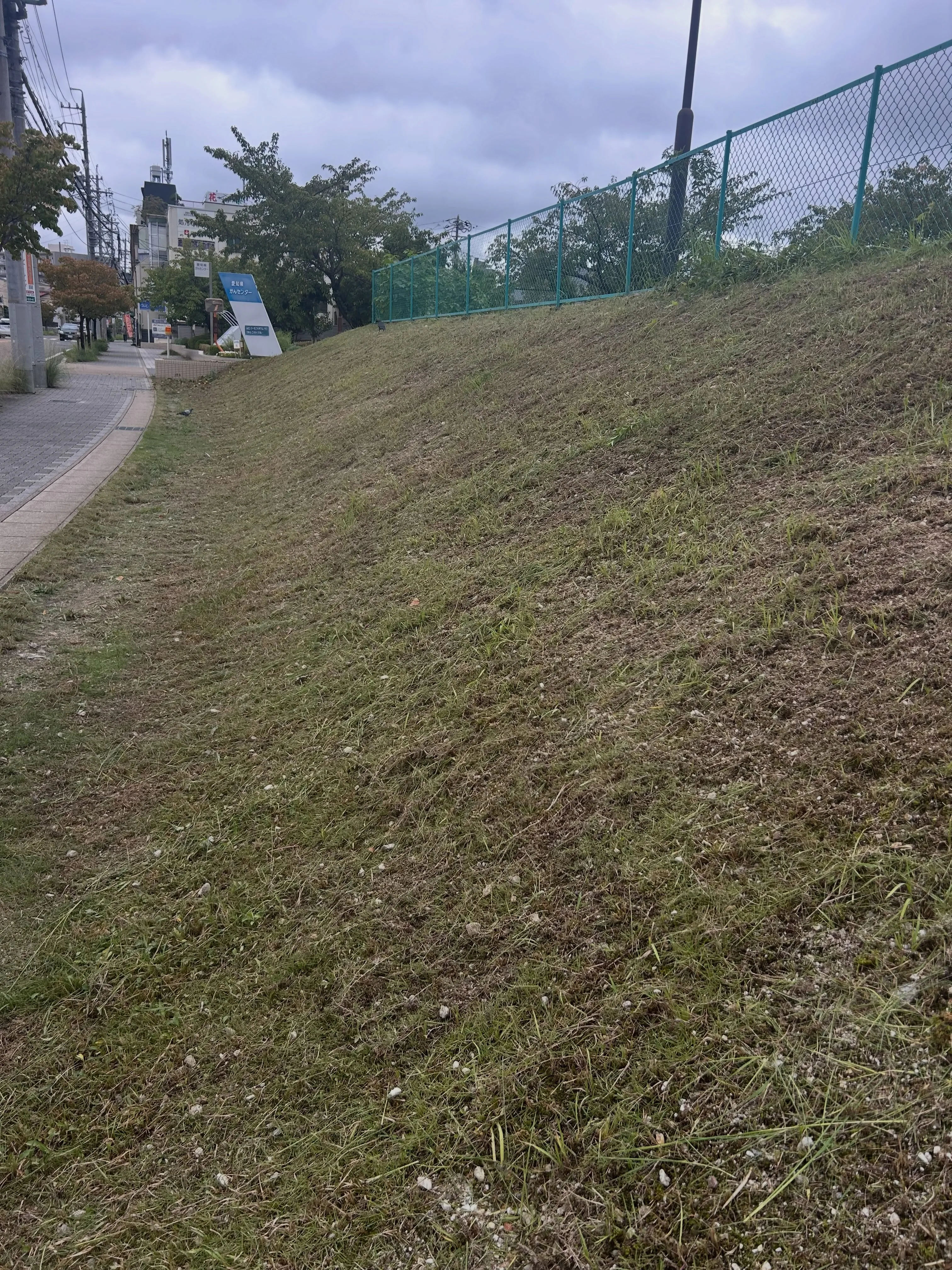 本日は、名古屋市千種区のがんセンターで草刈りを行いました。