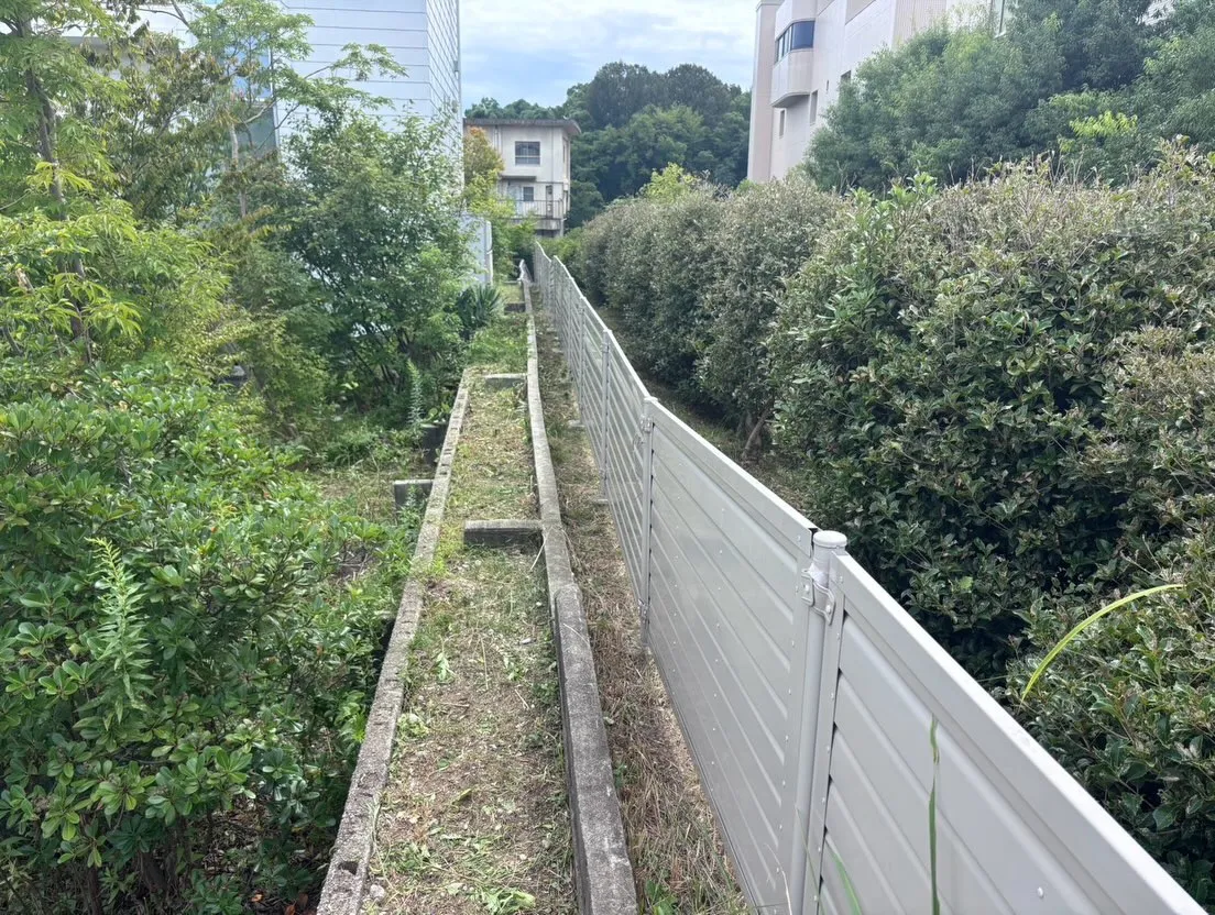 本日は先週に引き続き、名古屋市千種区にあるがんセンターでの草...