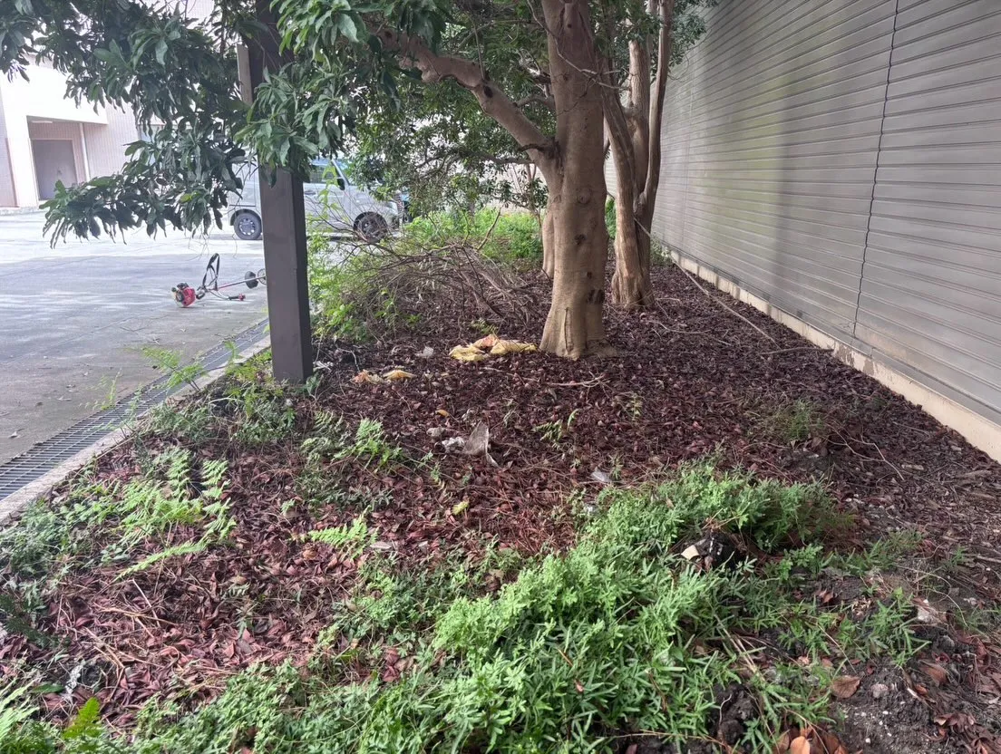 本日は先週に引き続き、名古屋市千種区にあるがんセンターでの草...