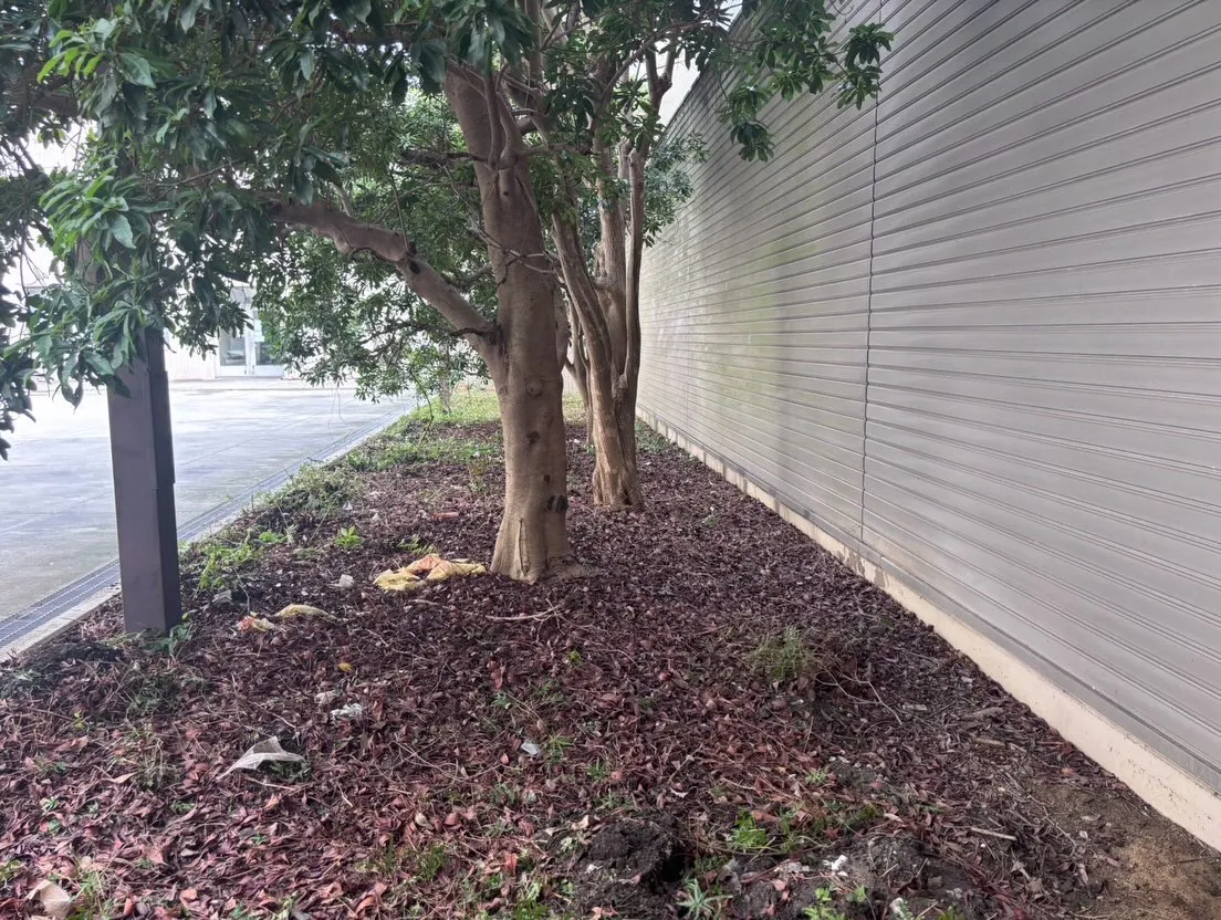 本日は先週に引き続き、名古屋市千種区にあるがんセンターでの草...