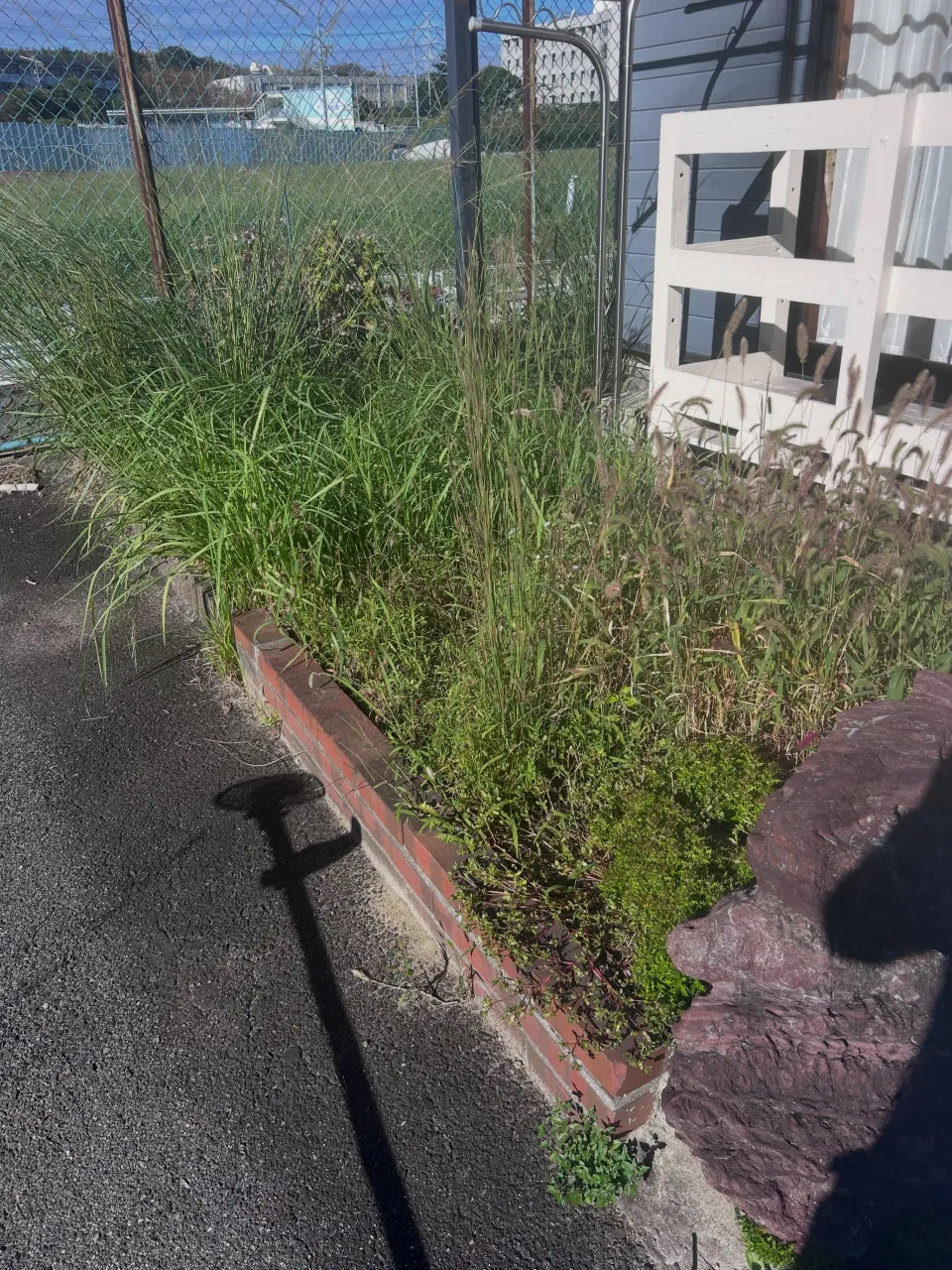 本日は知多市にある個人宅のお宅のお庭の草刈りと除草剤散布を行...