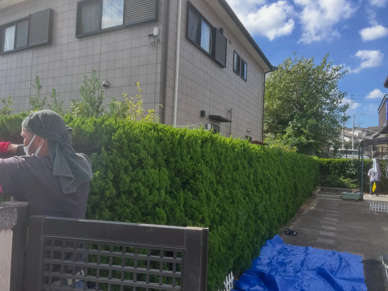 本日は、知多市のお客様のお庭で剪定を行いました。