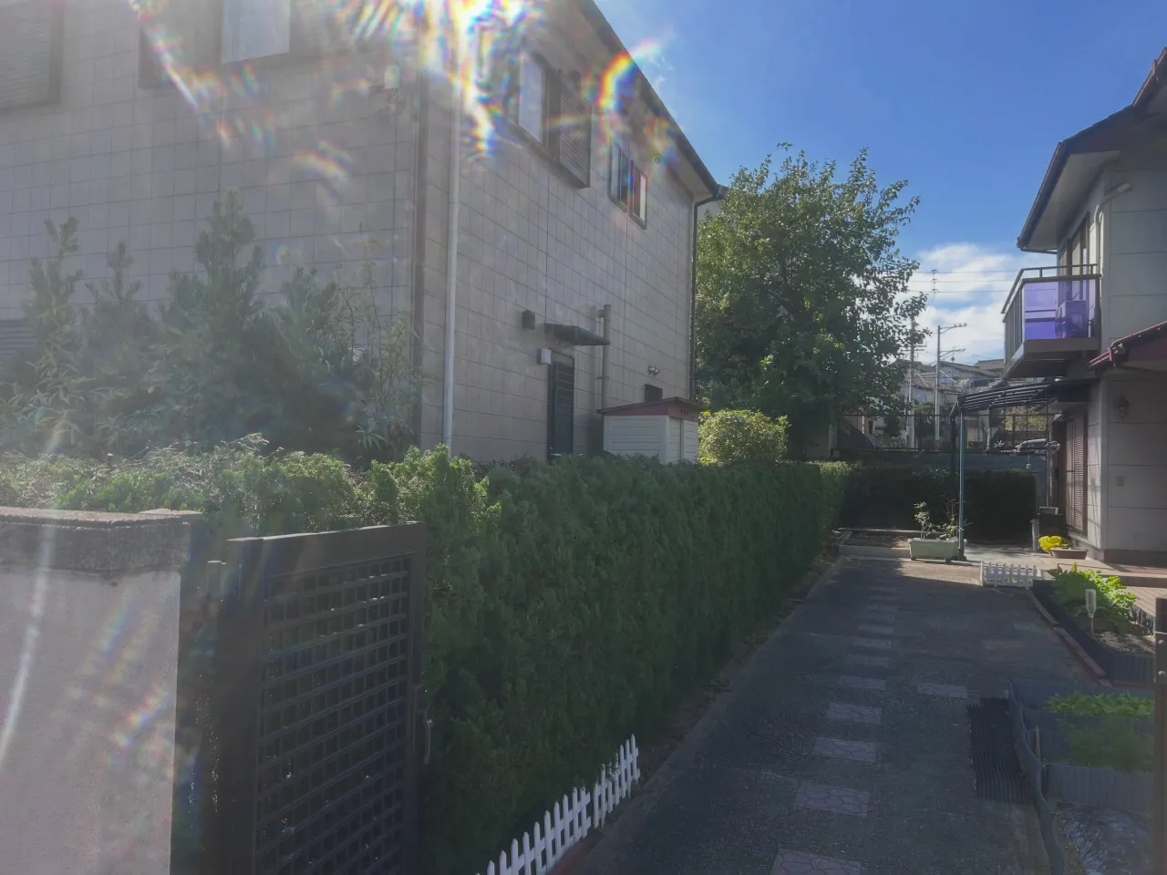 本日は、知多市のお客様のお庭で剪定を行いました。