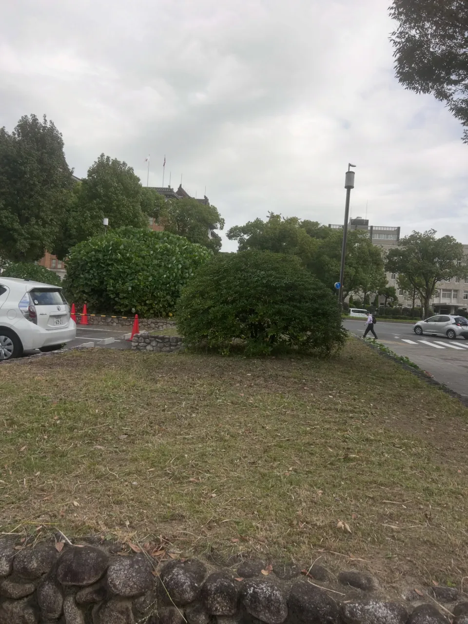 本日は、愛知県庁の草刈りを行いました。