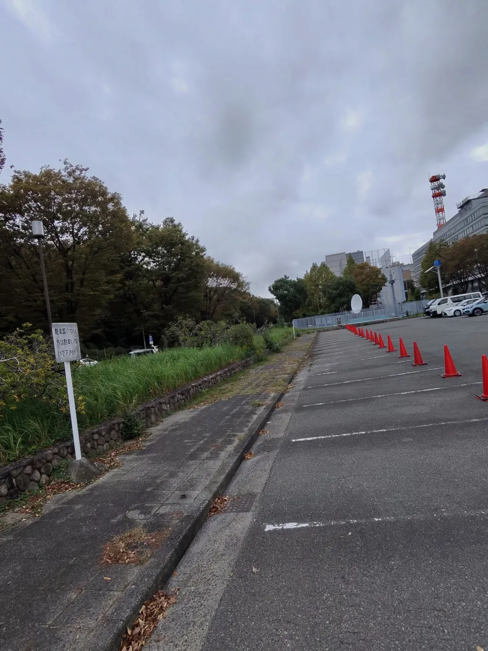 本日は、愛知県庁の草刈りを行いました。