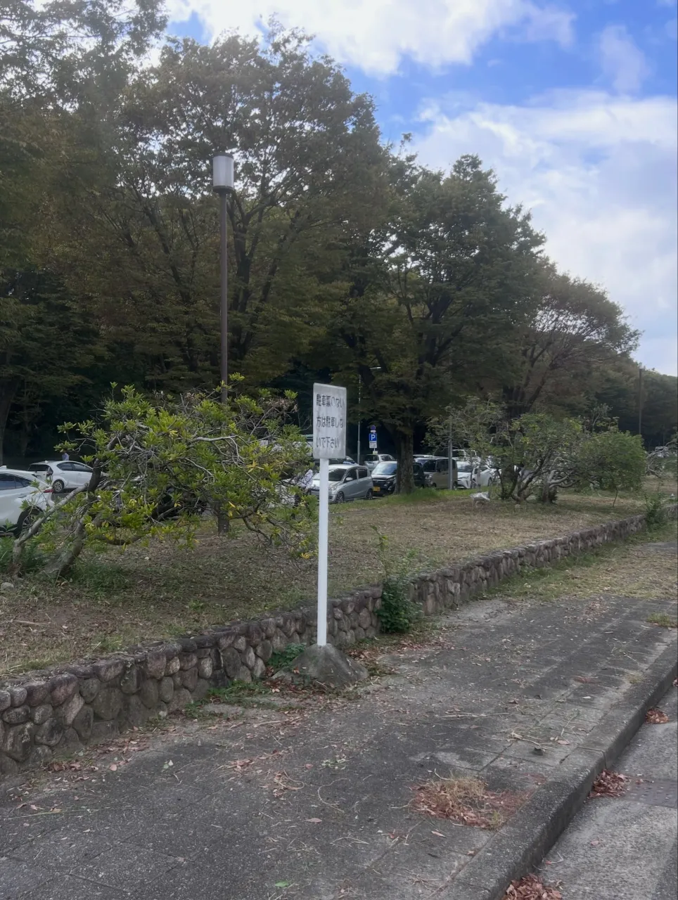 本日は、愛知県庁の草刈りを行いました。