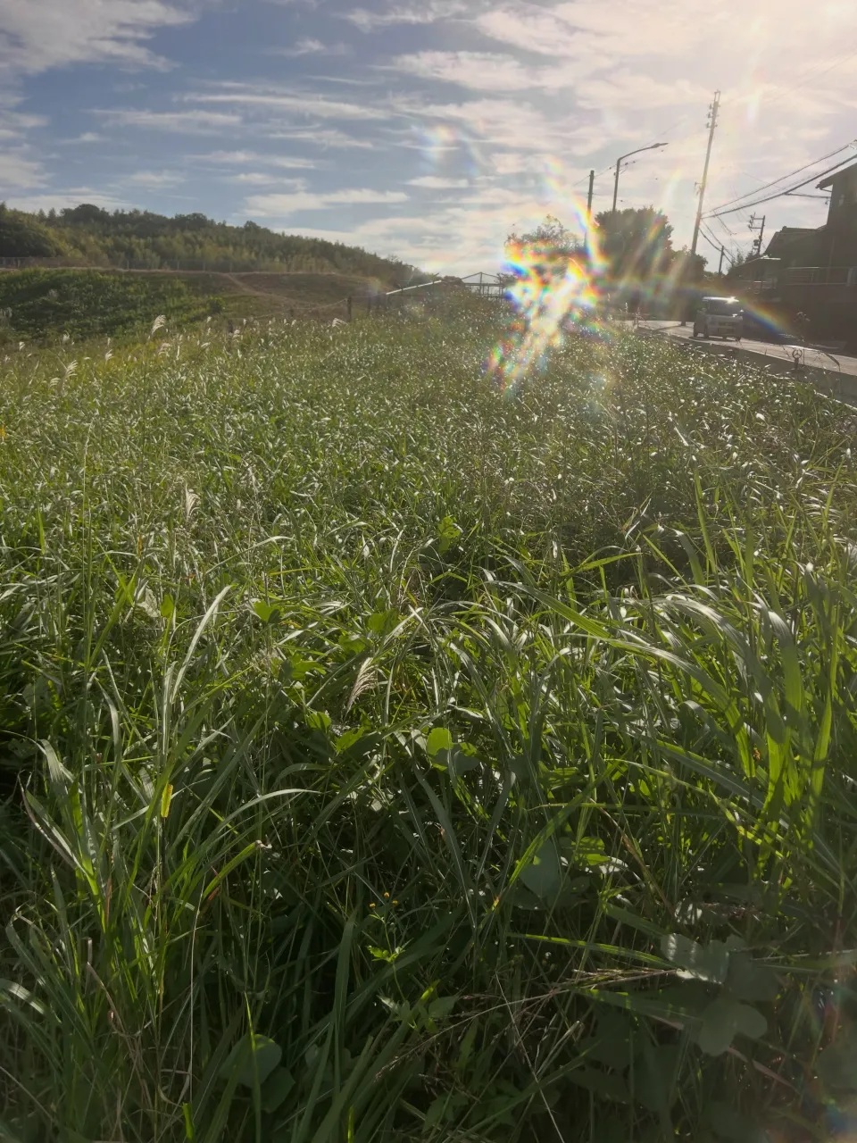 本日も東海市での斜面の草刈り、順調に作業完了しました。