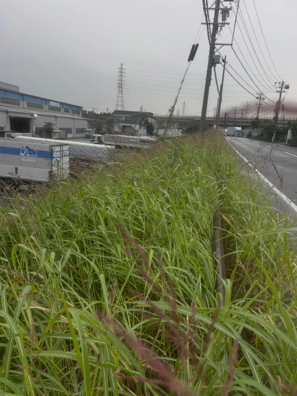 今日は東海市で、交通量の多い地域で作業を進めるにあたり、私た...