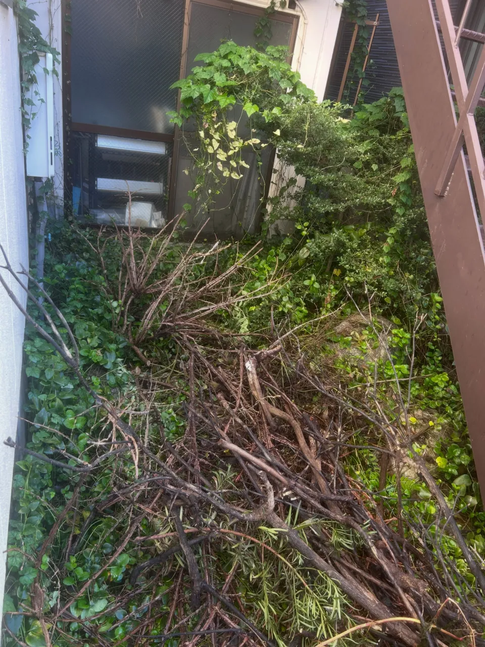 本日は、名古屋市にお住まいの知り合いの方からご依頼をいただき...