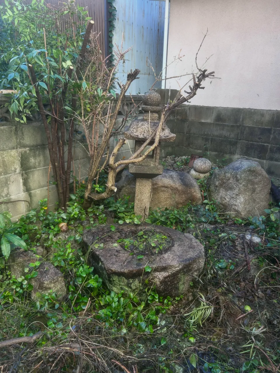 本日は、名古屋市にお住まいの知り合いの方からご依頼をいただき...