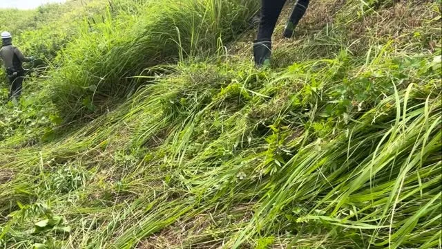本日も東海市で作業を進めました。